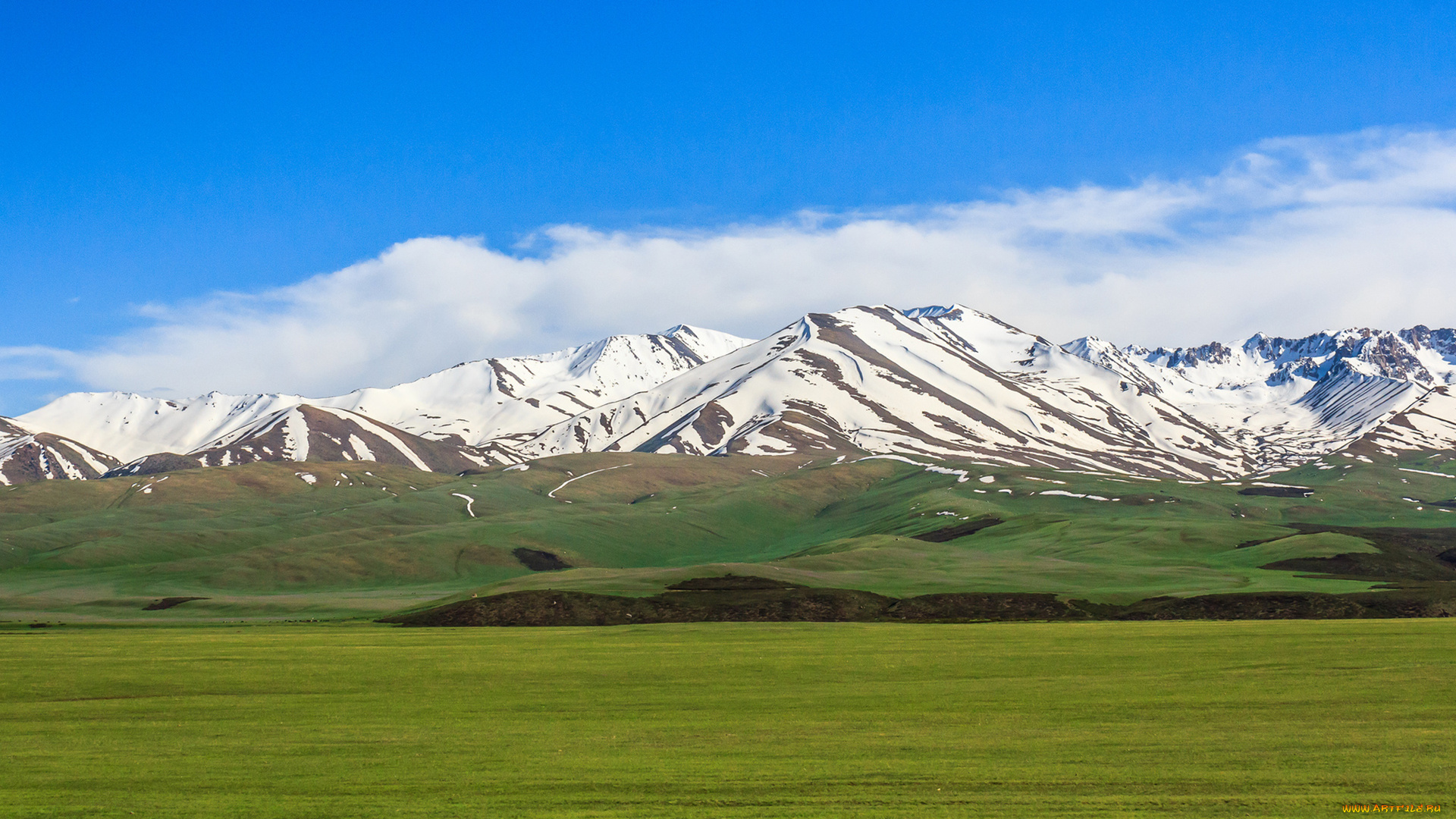 природа, пейзажи, кыргызстан, облака, трава, небо, Чуйская, сосновка, снег, горы, поле