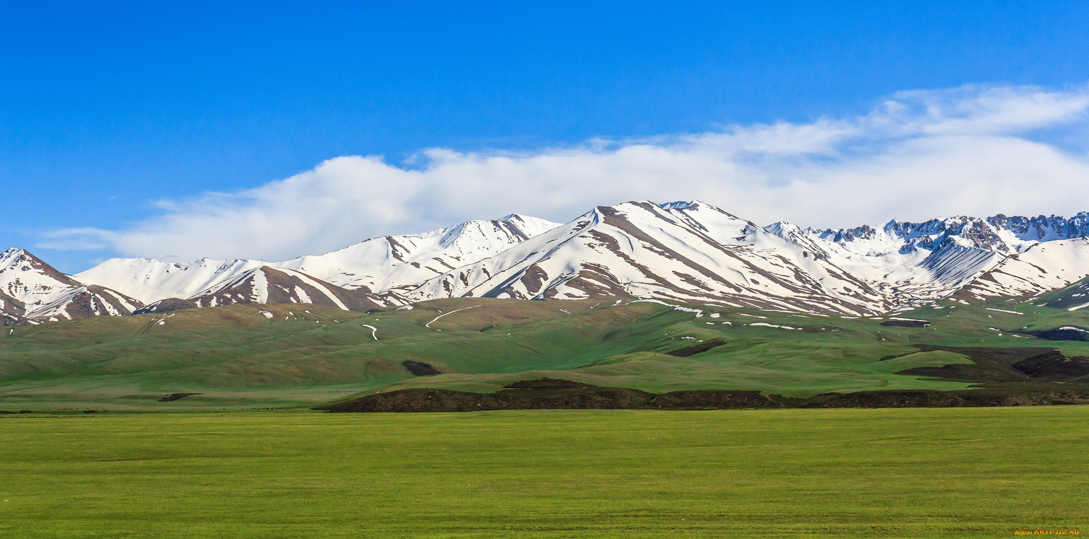 природа, пейзажи, кыргызстан, облака, трава, небо, Чуйская, сосновка, снег, горы, поле