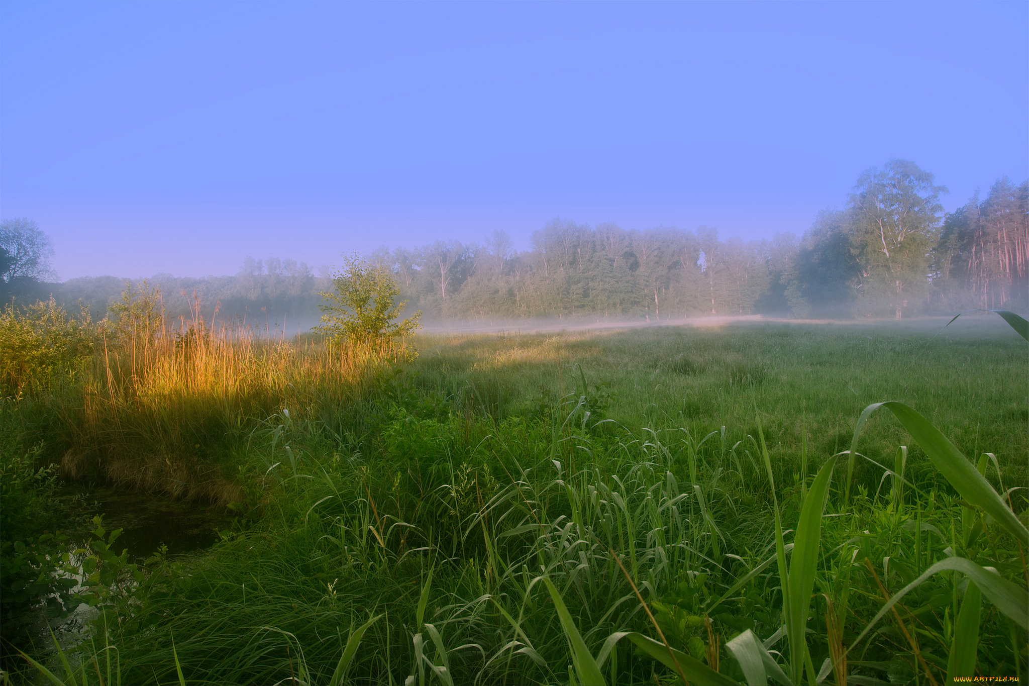 природа, пейзажи, простор