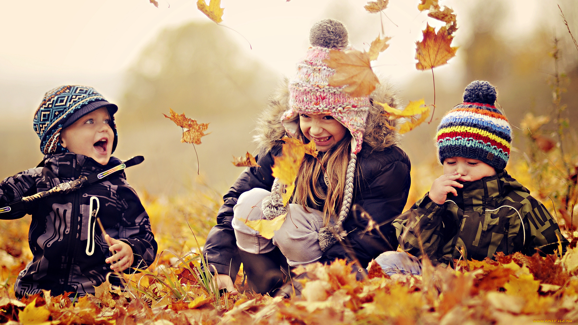 разное, дети, игра, листья, осень