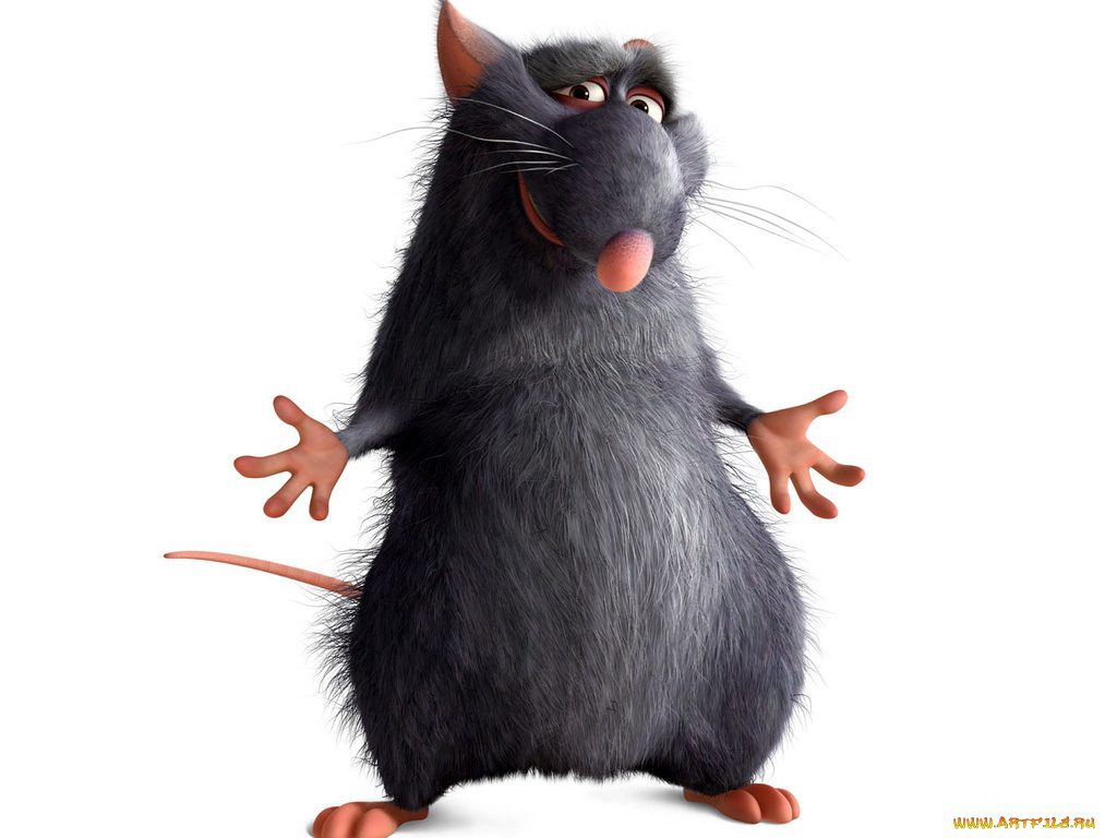 мультфильмы, ratatouille