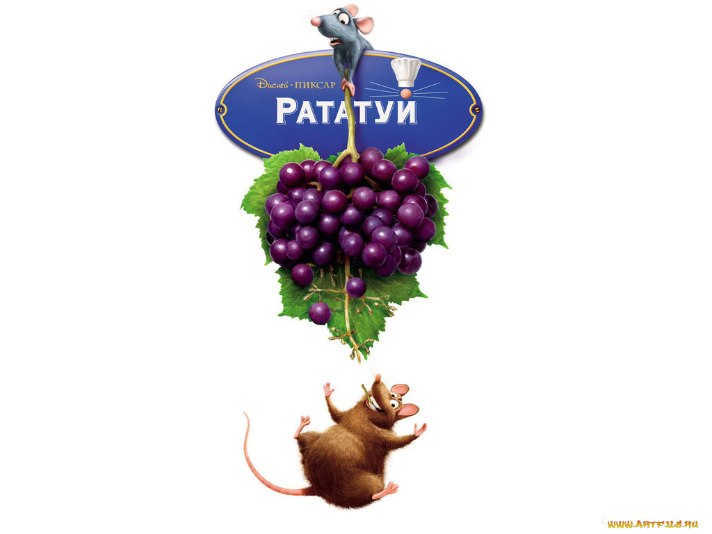 мультфильмы, ratatouille