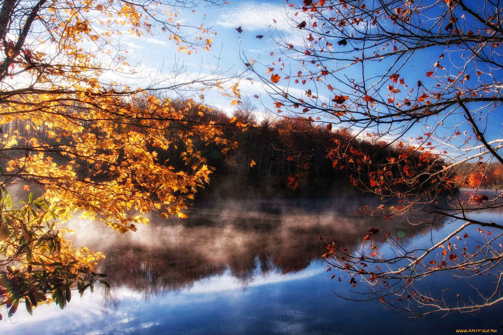 природа, реки, озера, вода, осень, деревья, ветки