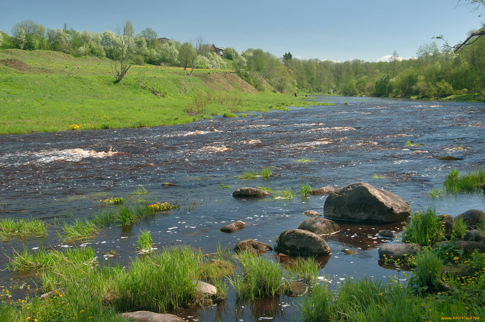 природа, реки, озера, лес, река