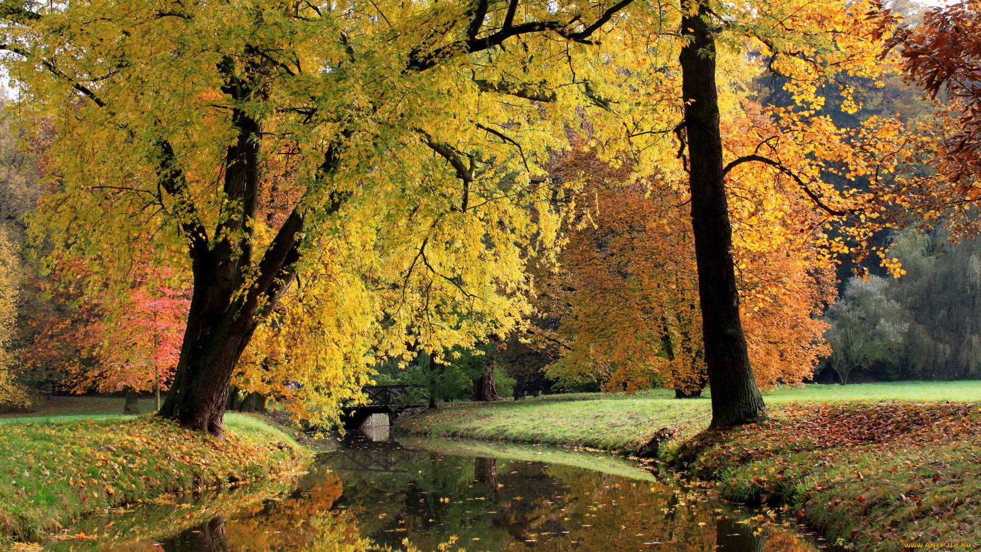 Чехия, pruhonice, природа, парк, река, мост, осень
