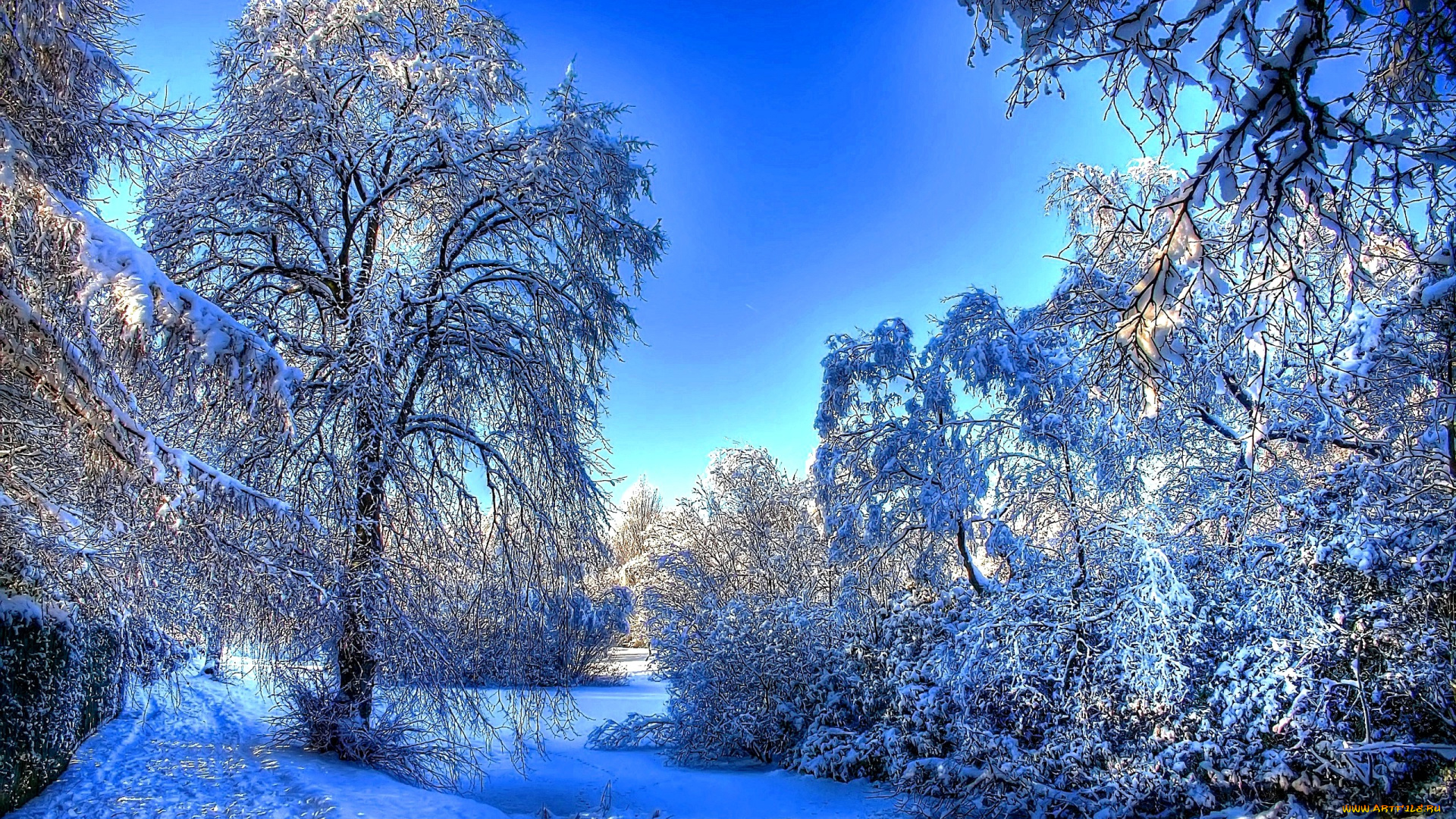 природа, зима, лес, снег, дорожка