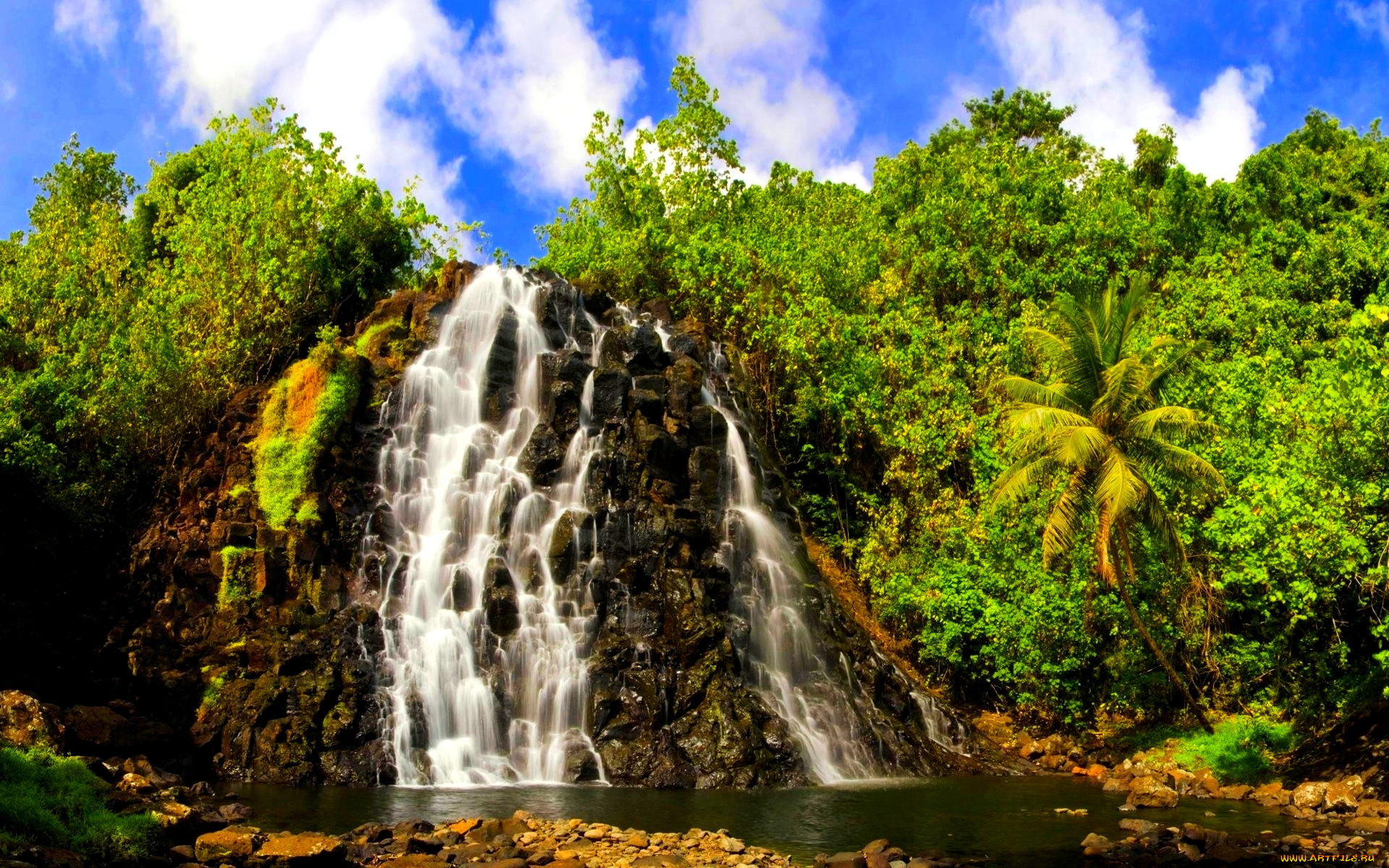природа, водопады, тропики, джунгли, обрыв, река, водопад
