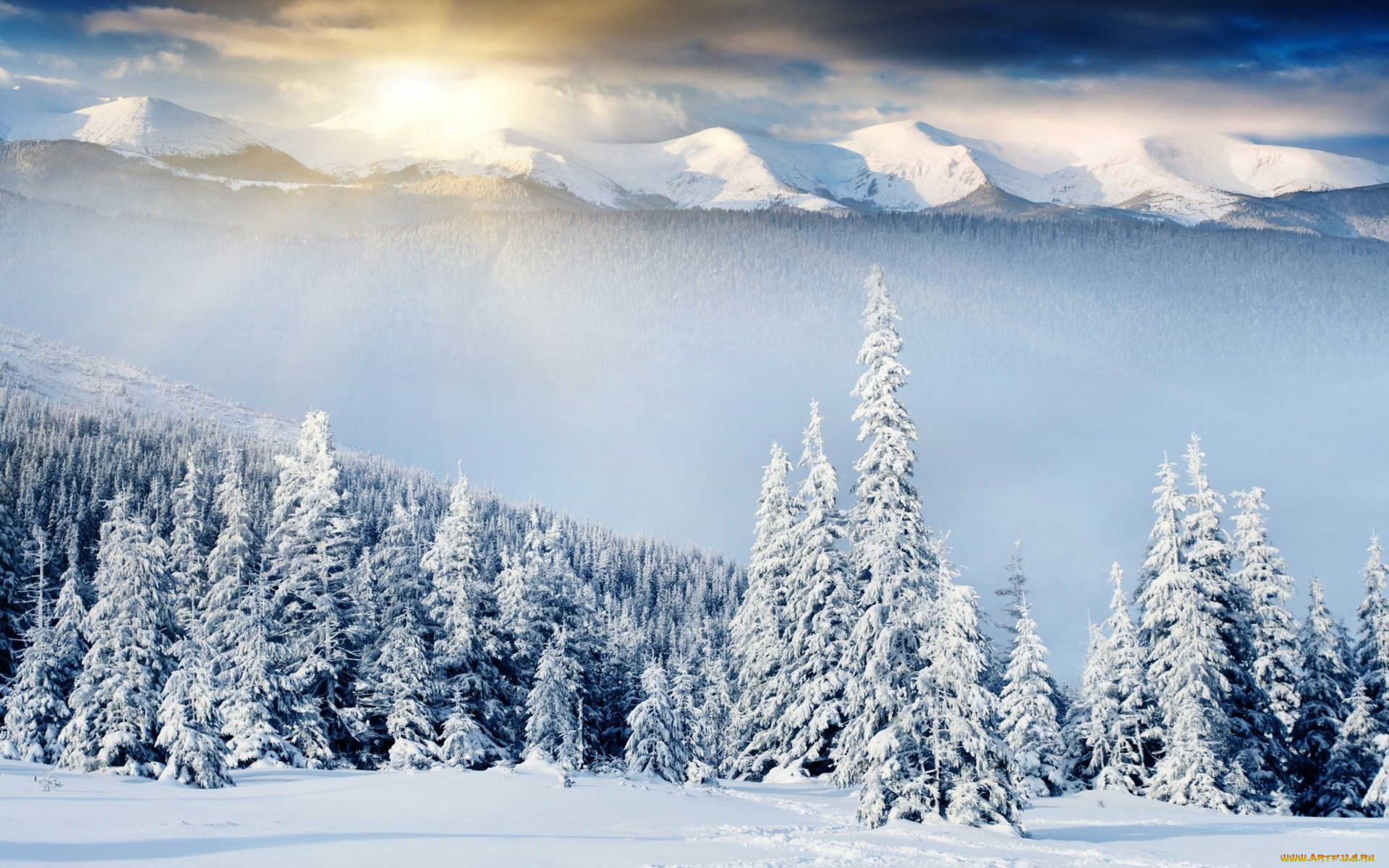 природа, зима, горы, лес, снег