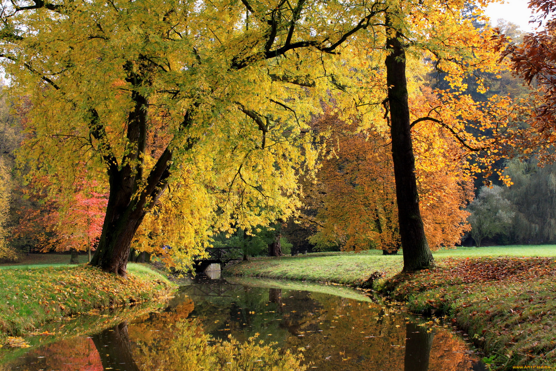 Чехия, pruhonice, природа, парк, река, мост, осень