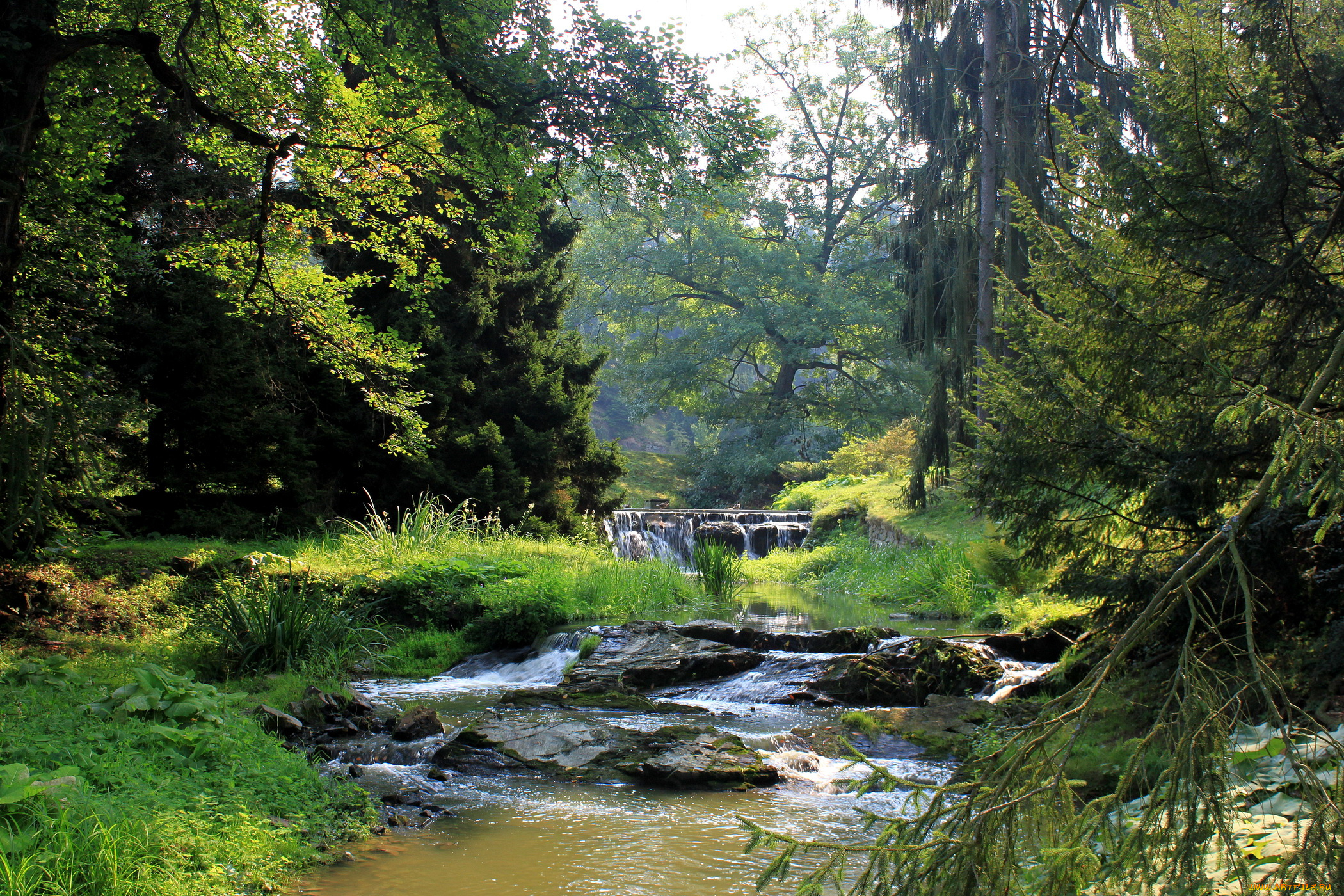 Красивый лес с рекой. Река Убин. Парк Шмелевский ручей. Природа ручей Тбилиси. Беловежская пуща река Лесная.
