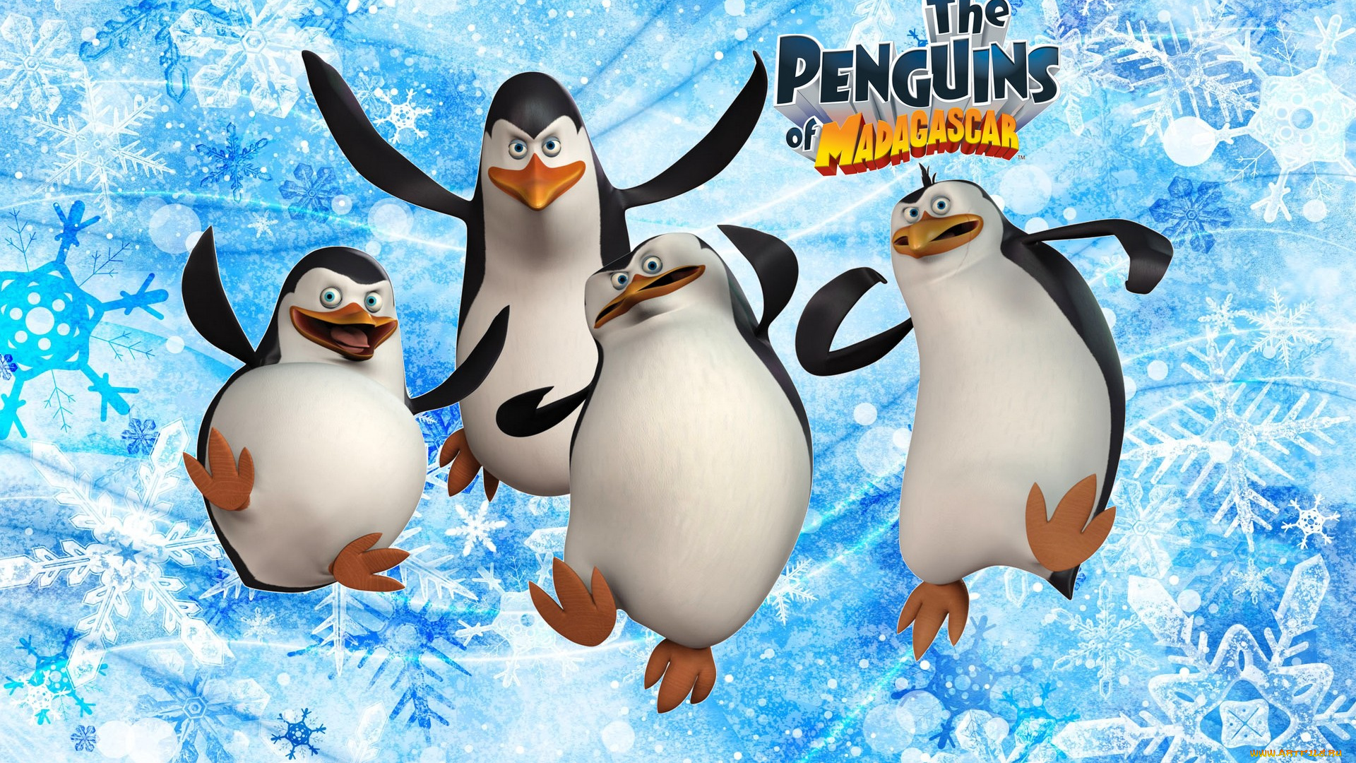 мультфильмы, the, penguins, of, madagascar, пингвины, мадагаскар