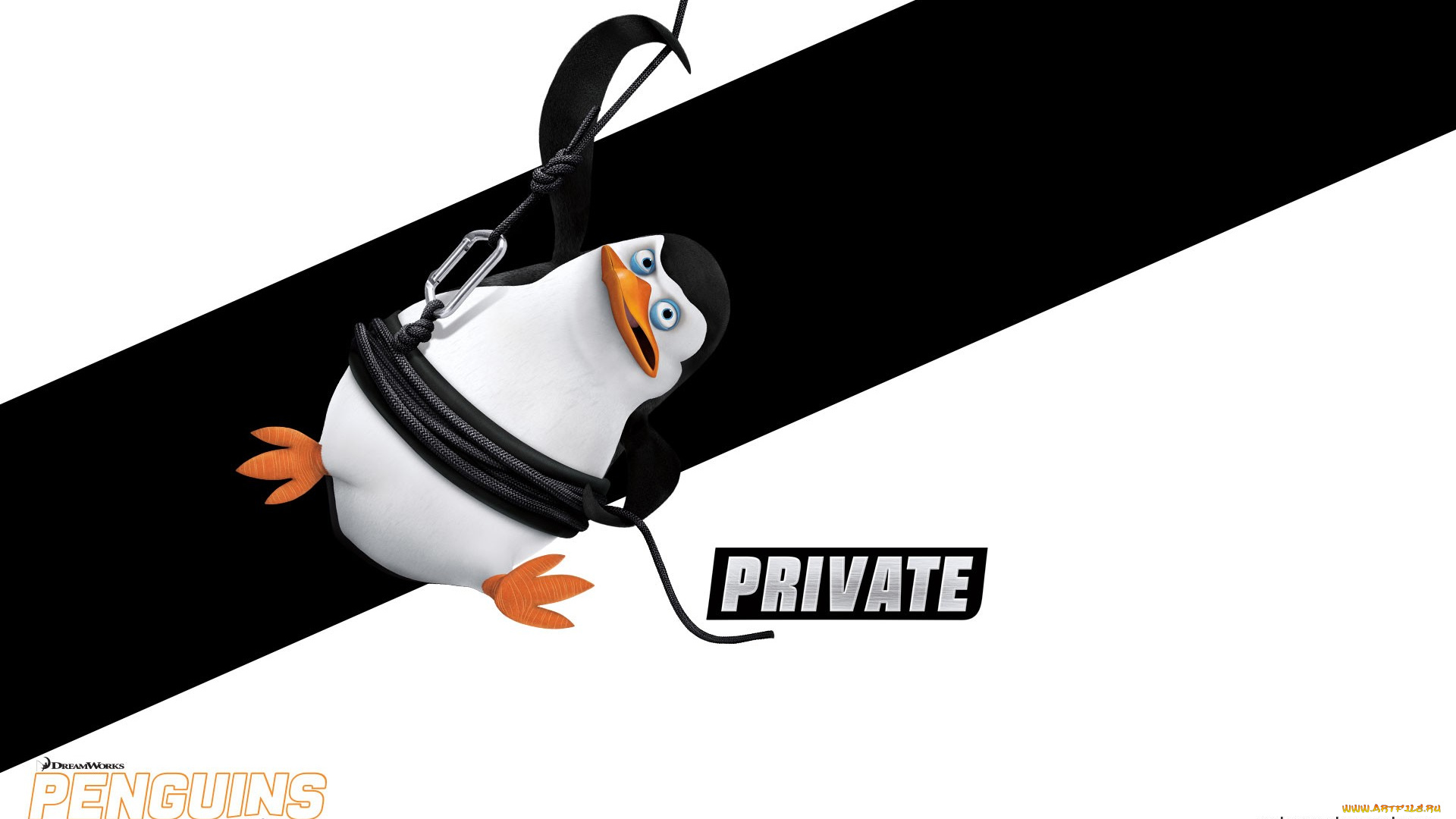 private, мультфильмы, the, penguins, of, madagascar, мадагаскар, пингвины
