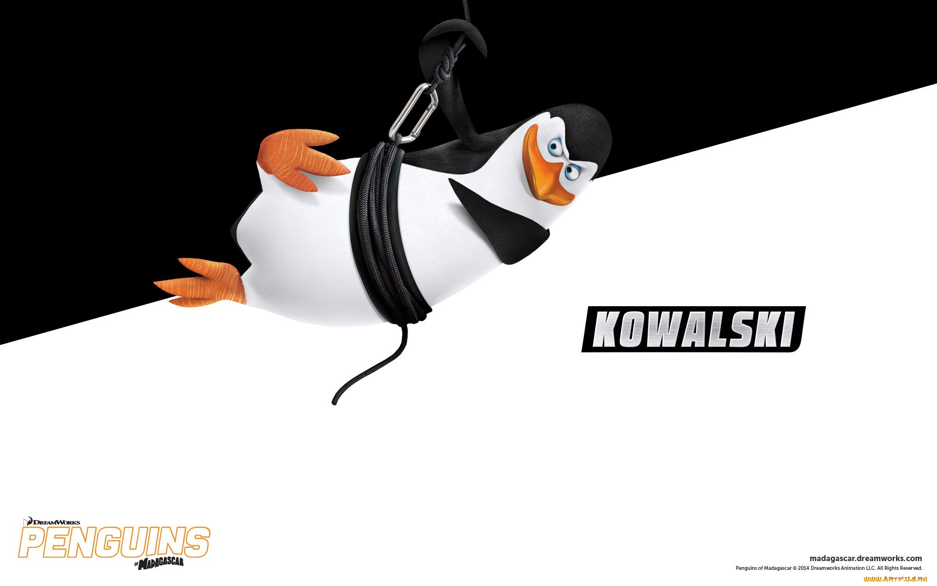 kowalski, мультфильмы, the, penguins, of, madagascar, мадагаскар, пингвины