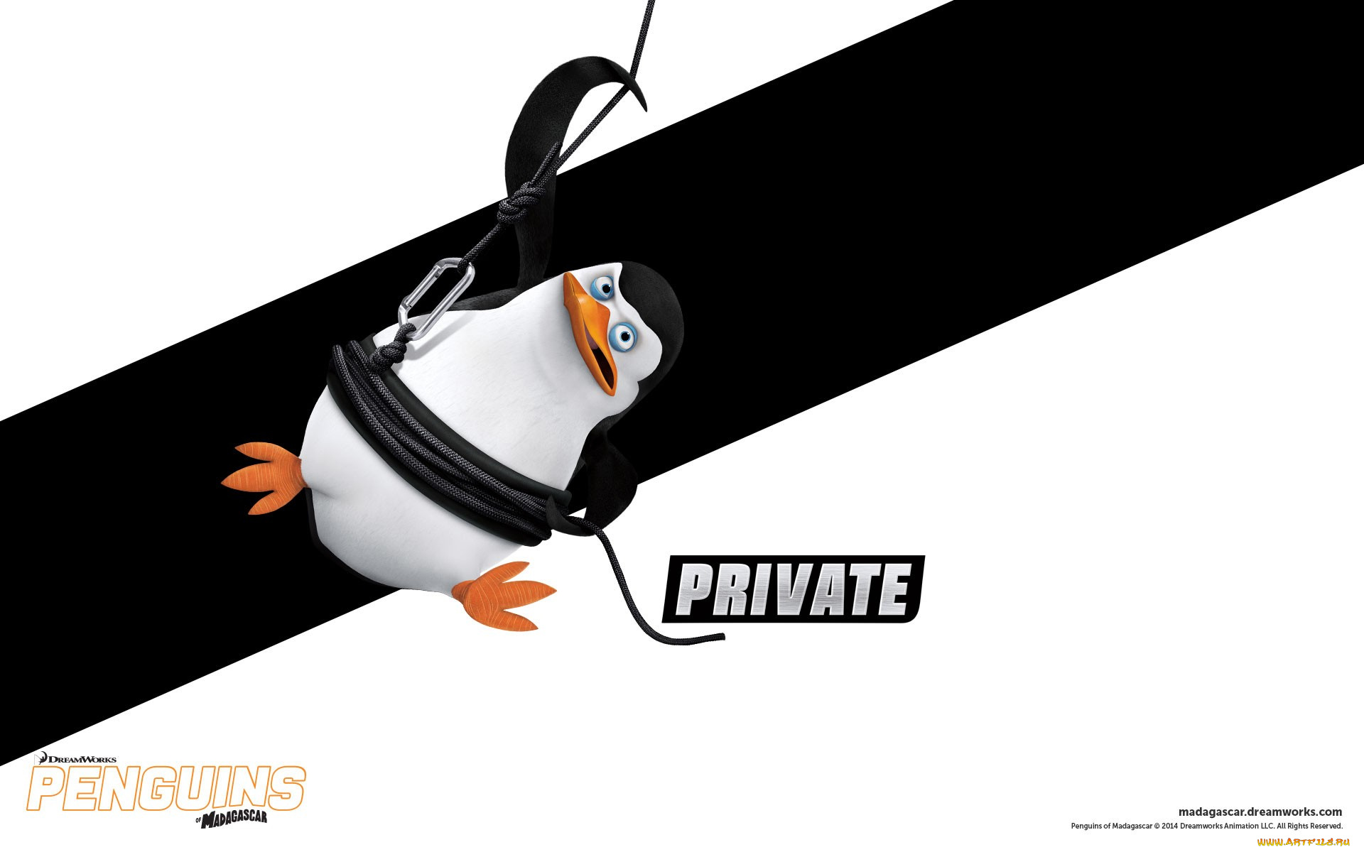 private, мультфильмы, the, penguins, of, madagascar, мадагаскар, пингвины