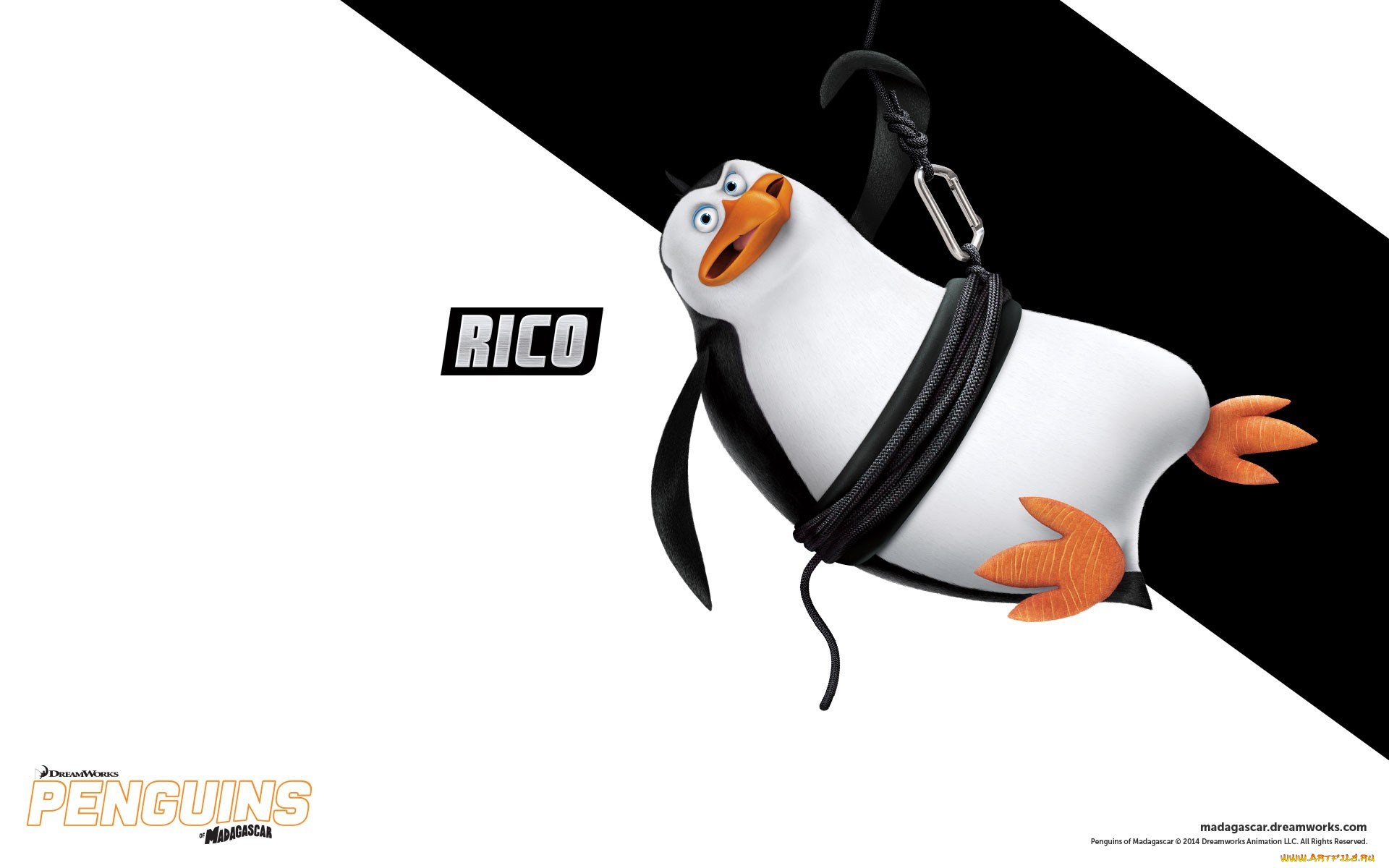 rico, мультфильмы, the, penguins, of, madagascar, пингвины, мадагаскар