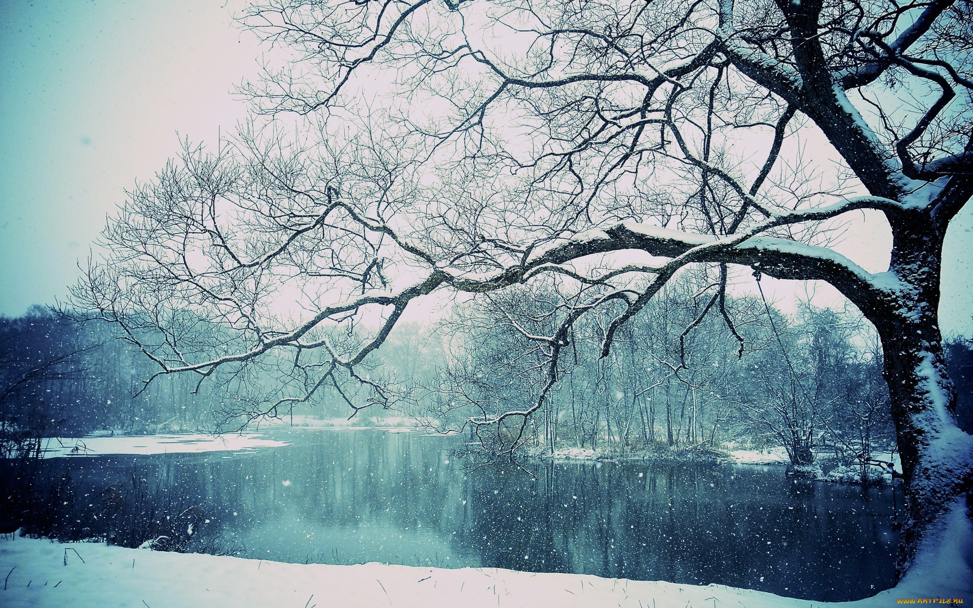 природа, зима, lake, winter, снег, дерево, озеро, snowing, tree