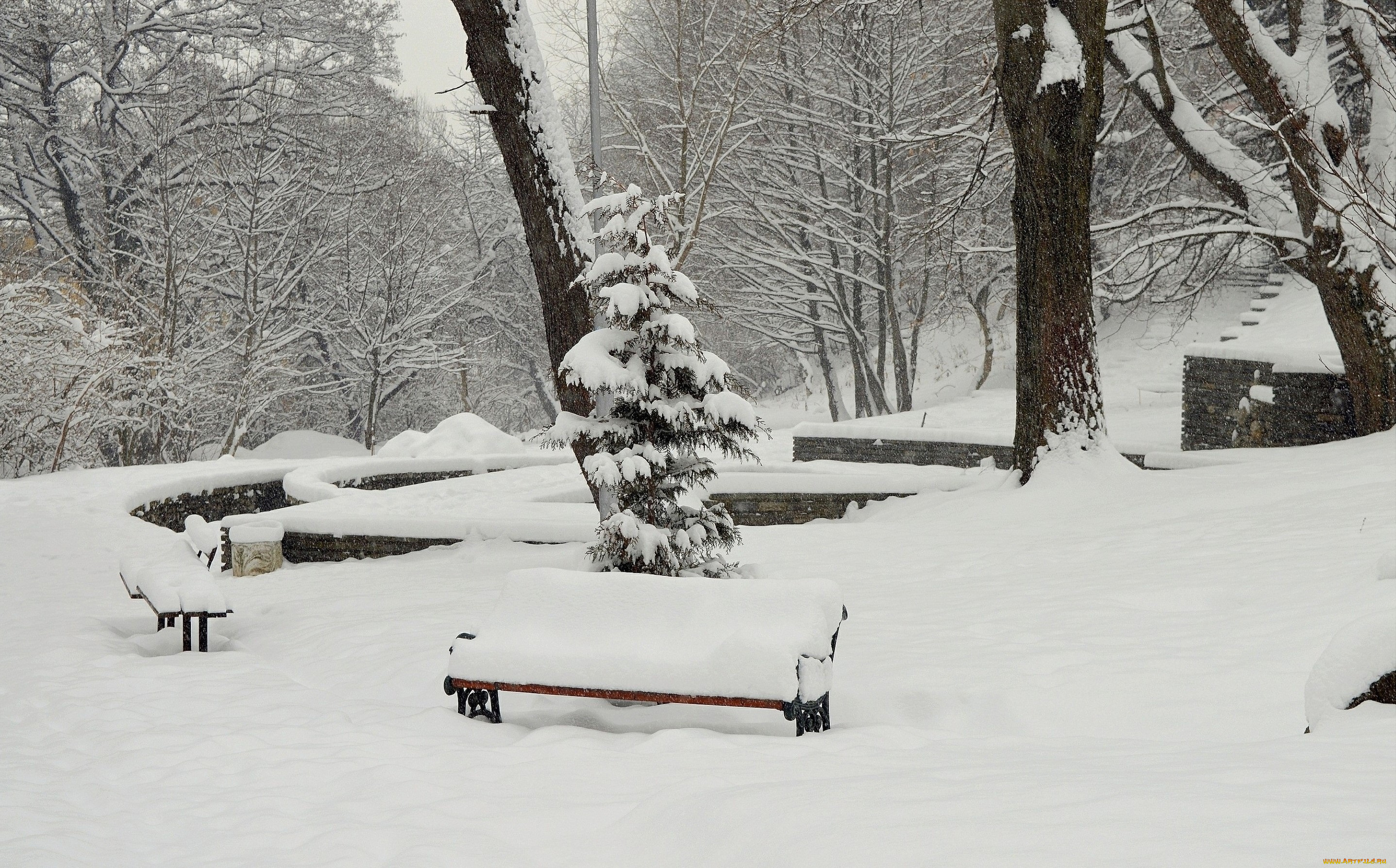 природа, зима, снег, деревья, скамейки, парк