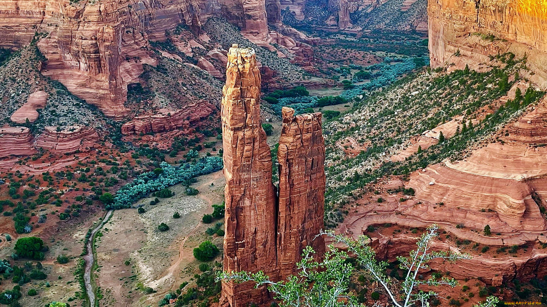 spider, rock, arizona, природа, горы, spider, rock