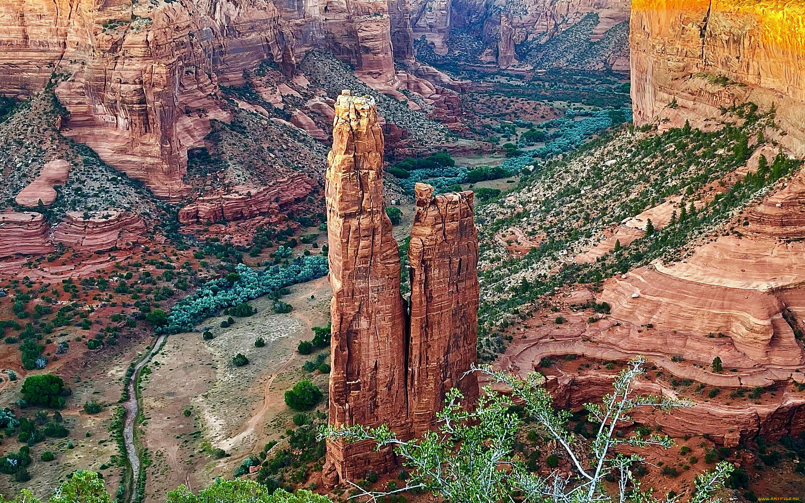 spider, rock, arizona, природа, горы, spider, rock