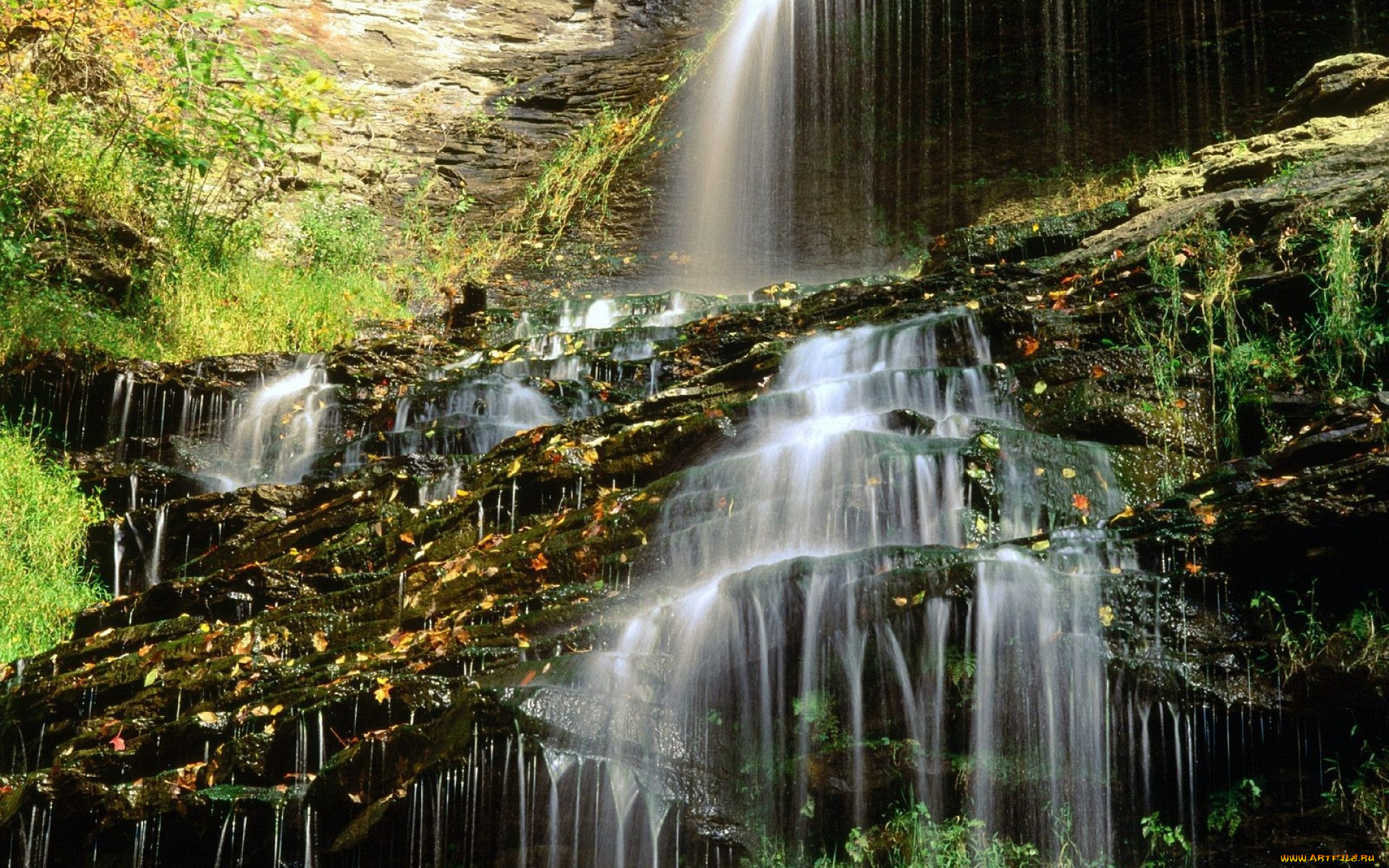 природа, водопады, водопад, каскад, скала, листья