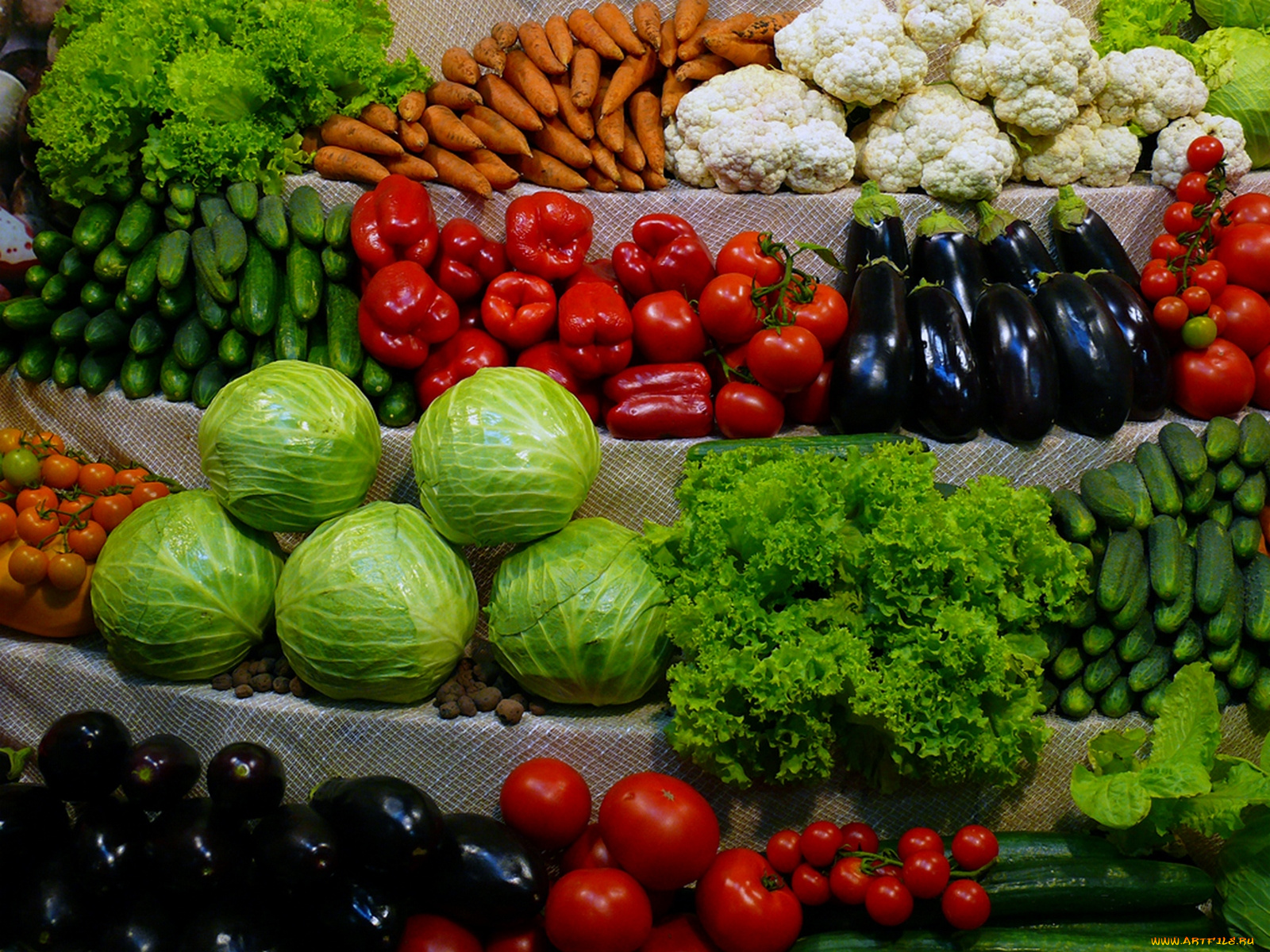 еда, овощи, болгарский, перец, помидор, брокколи, кукуруза, имбирь, маис, цветная, капуста, красный, оранжевый, зелёный, белый, фон, томаты