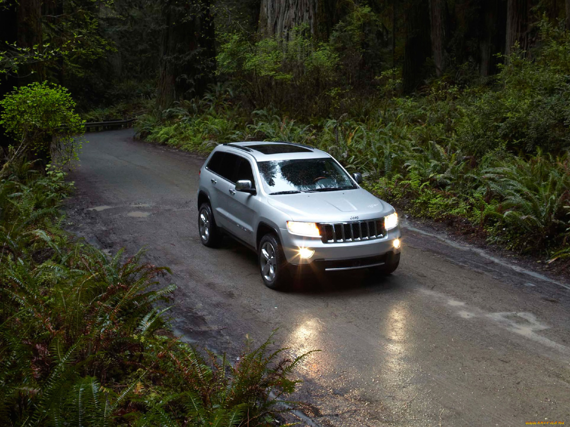 автомобили, jeep, grand, cherokee