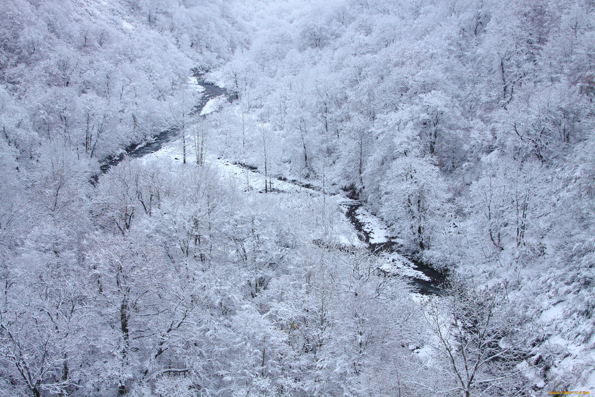 природа, зима, иней, река, лес
