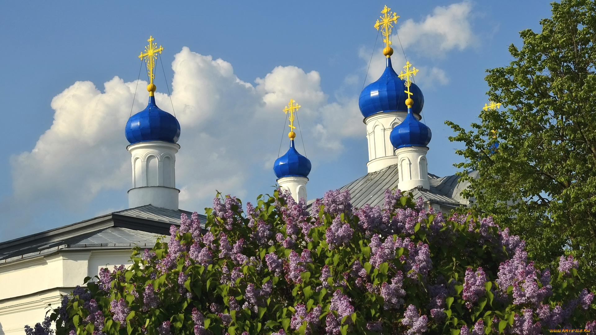 города, -, православные, церкви, , монастыри, сирень, купола