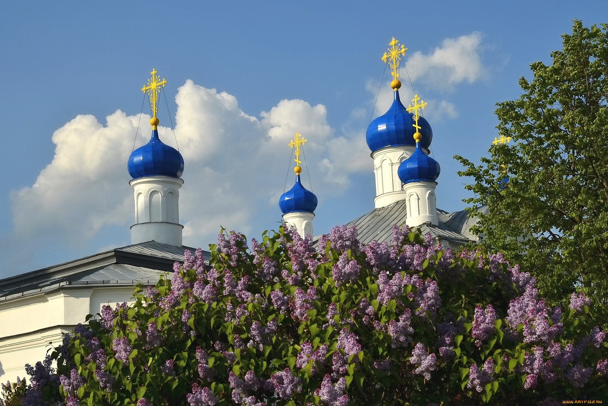 города, -, православные, церкви, , монастыри, сирень, купола