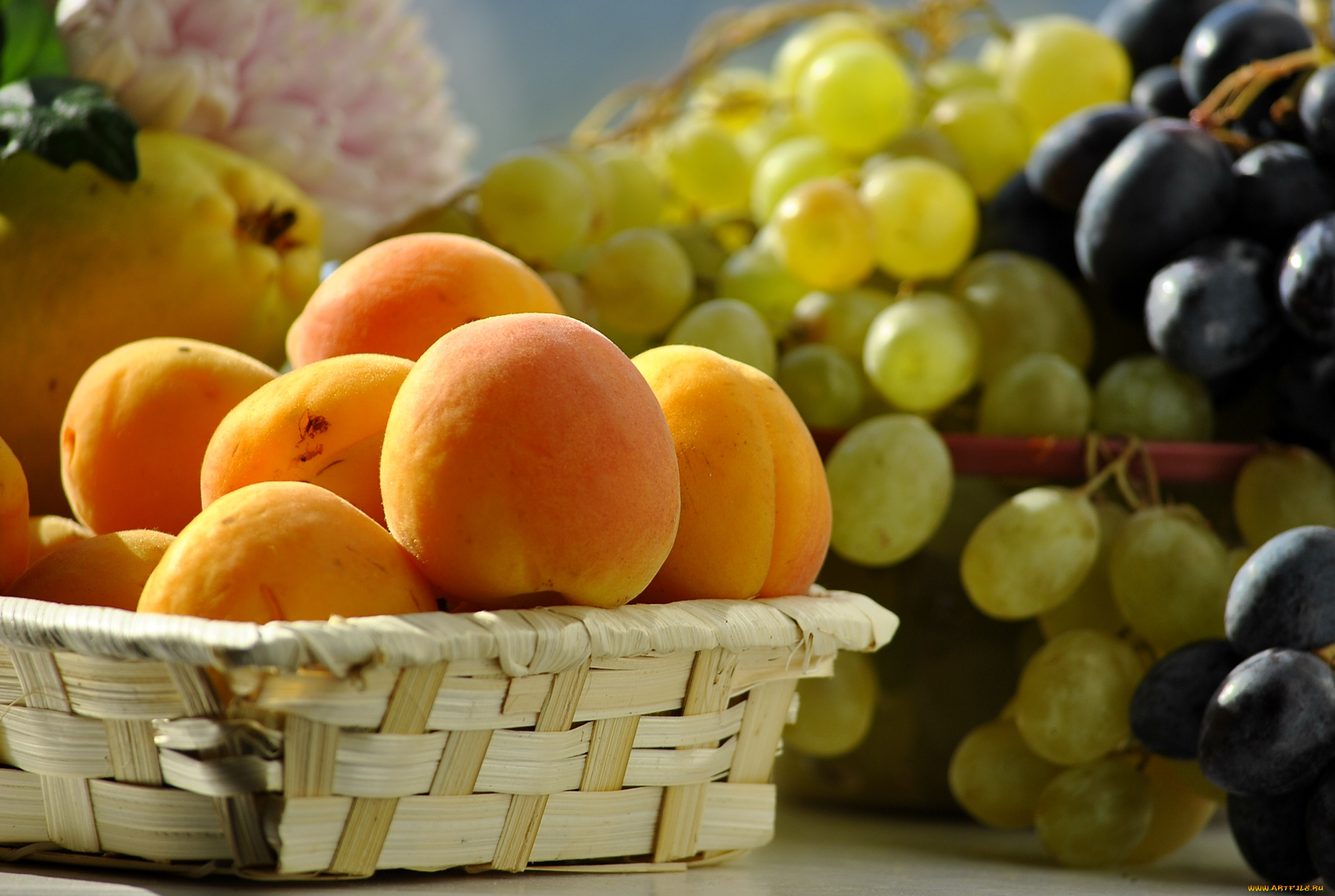 еда, фрукты, , ягоды, абрикос, виноград