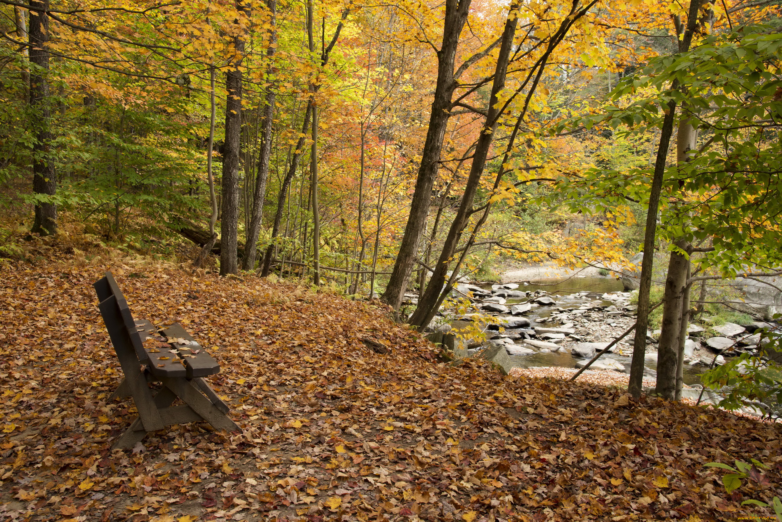 природа, парк, река, листва, деревья, осень