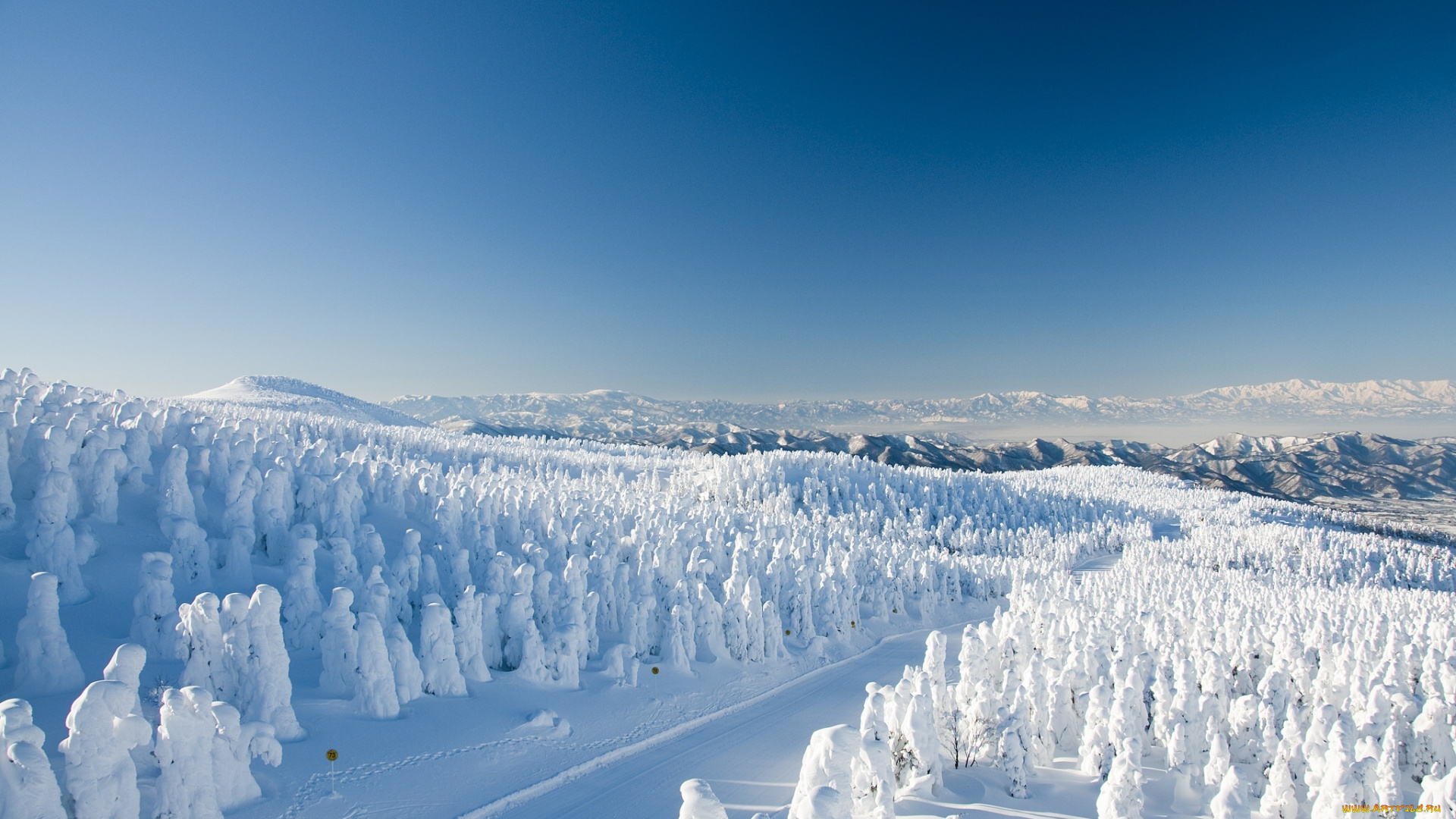 природа, зима, дорога, снег, горы, деревья, лес, Япония, Ямагата