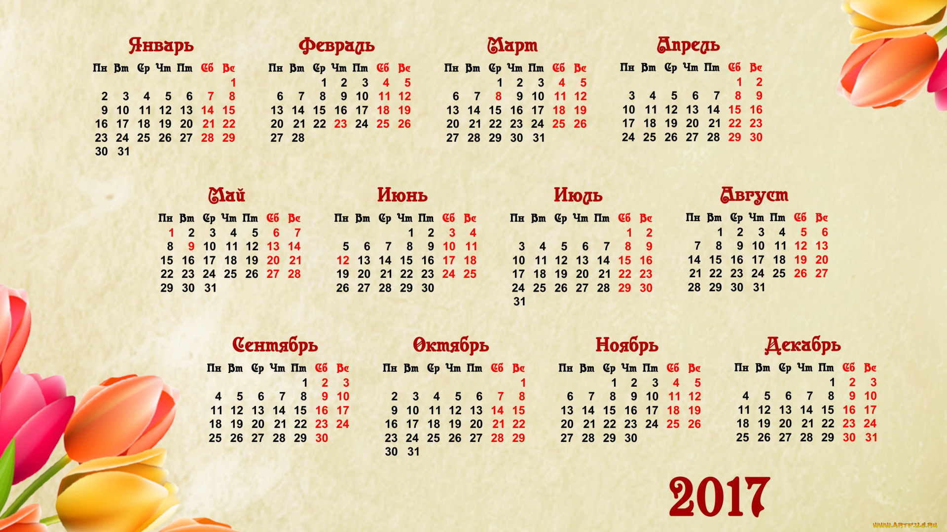 календари, цветы, календарь, фон