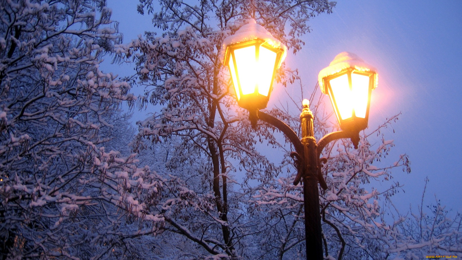 разное, осветительные, приборы, вечер, деревья, природа, мороз, фонарь, ветки, зима, холод, свет, снег