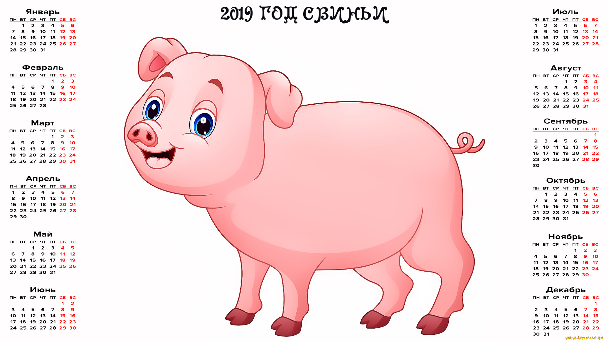 Свинья картинка для детей