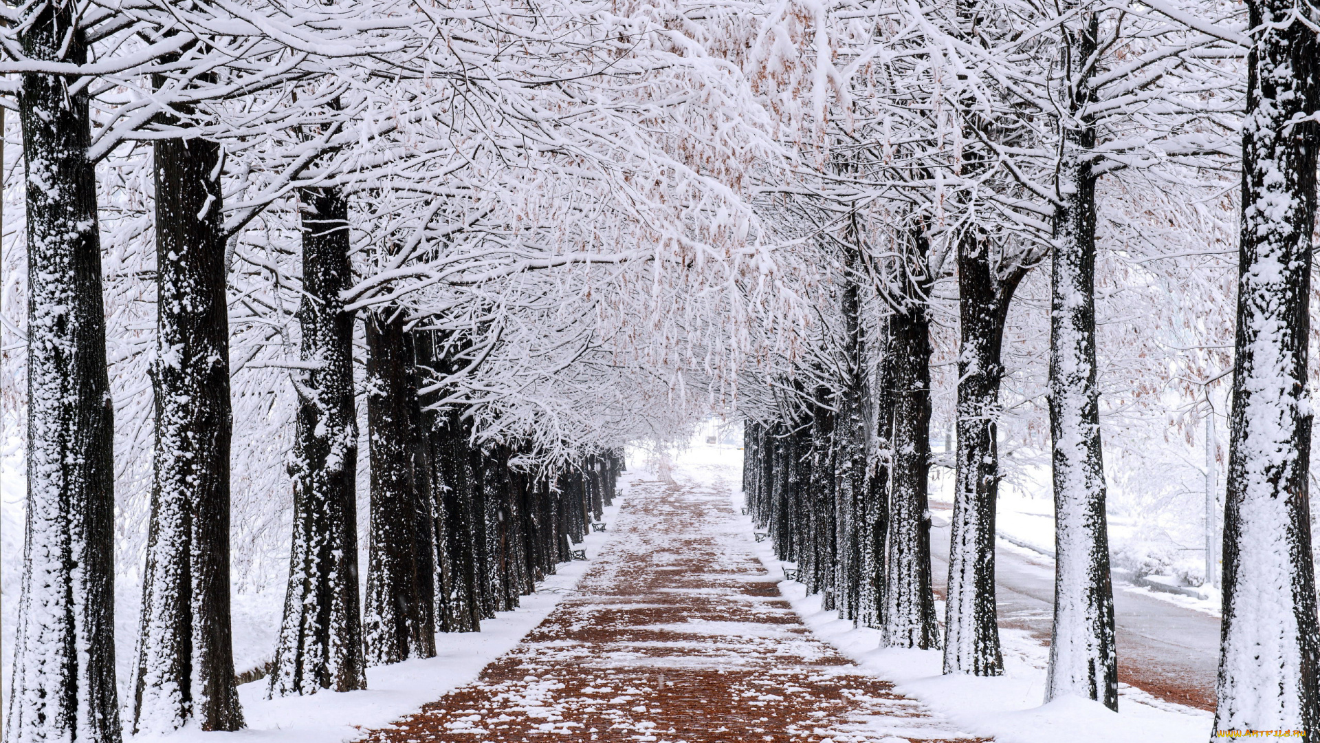 природа, дороги, дорога, зима, снег