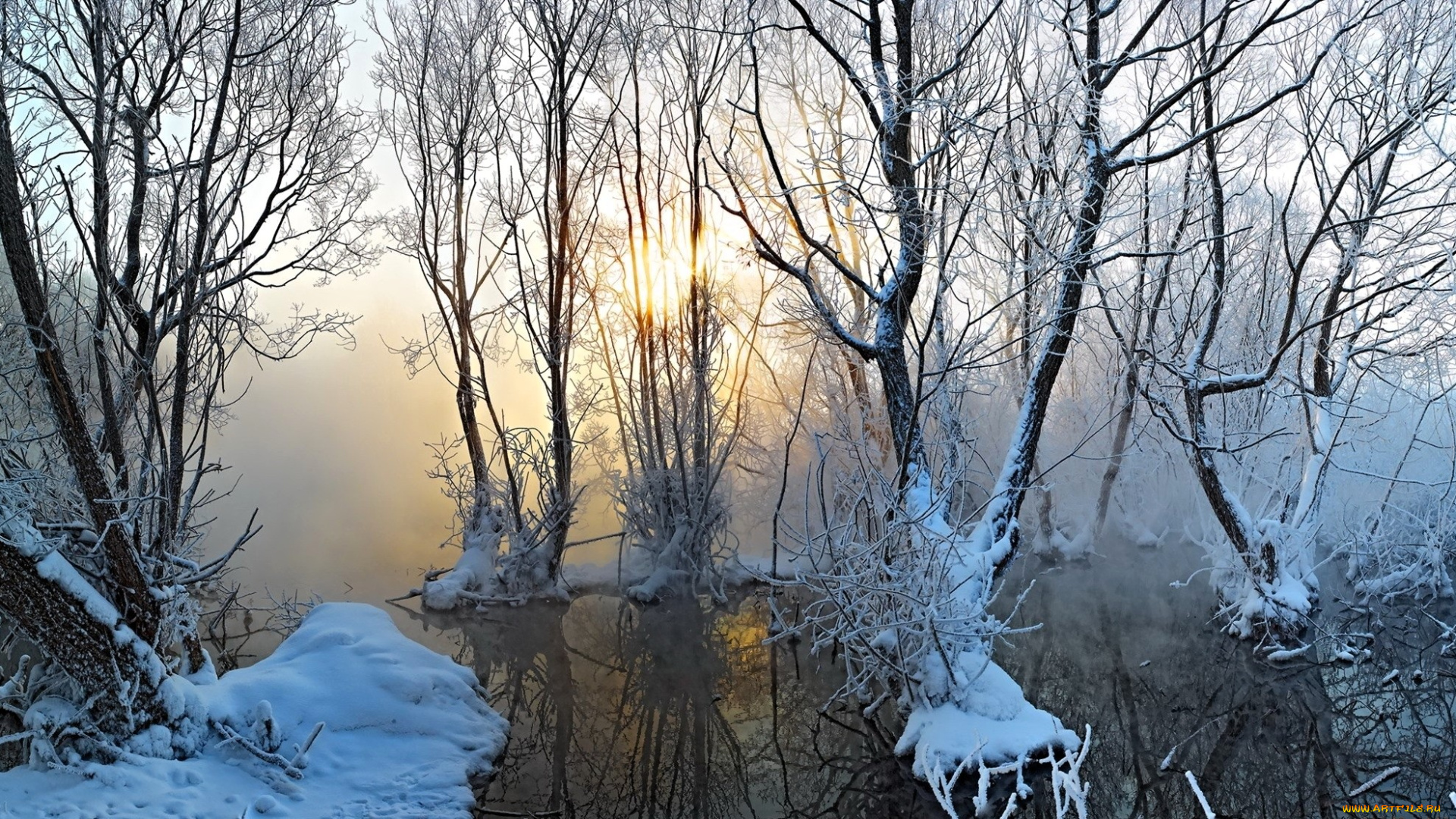 природа, реки, озера, деревья, снег, вода