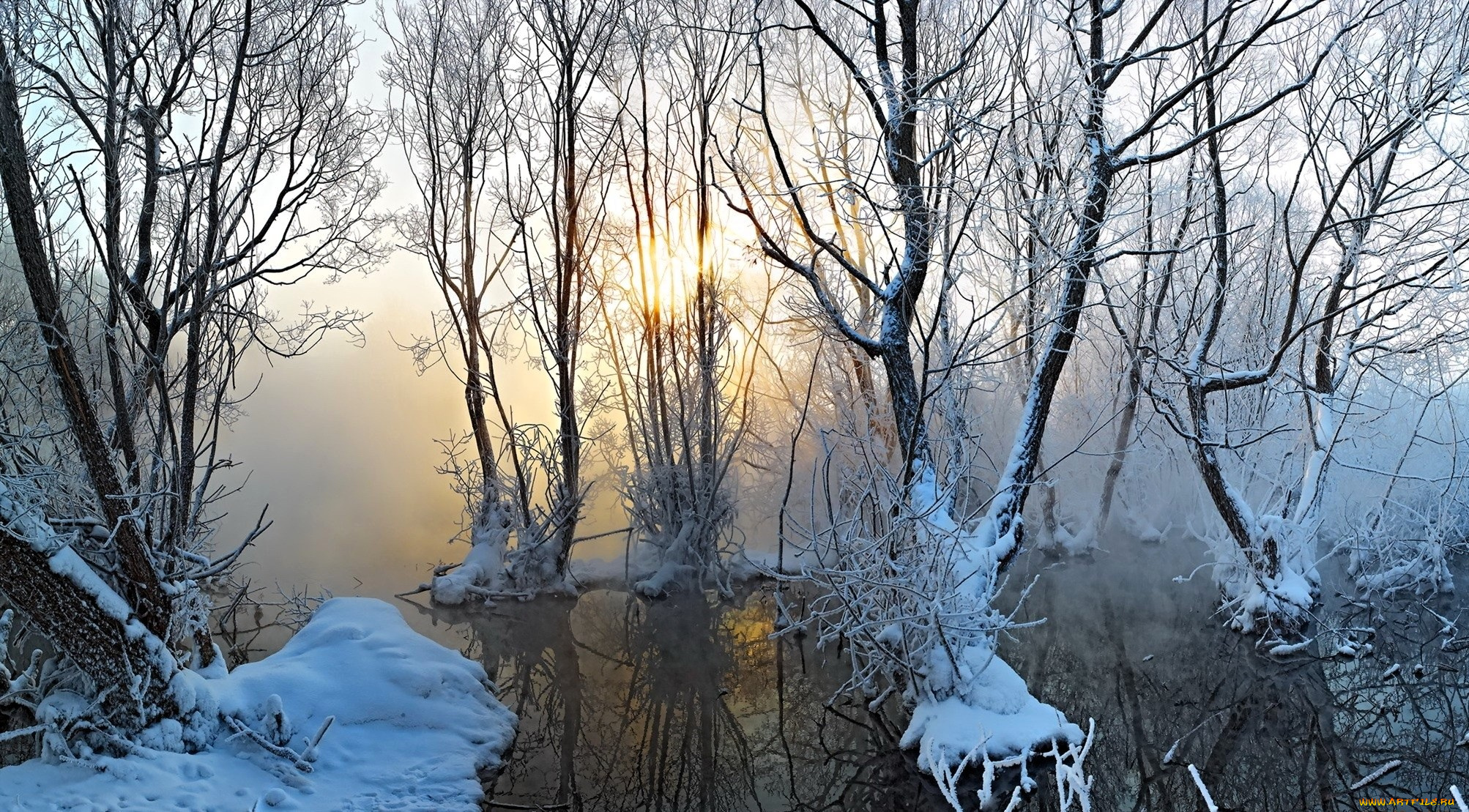 природа, реки, озера, деревья, снег, вода