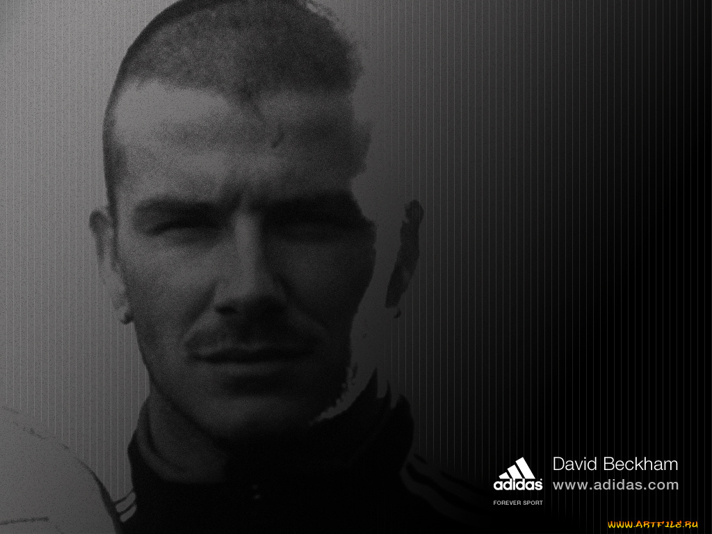 бренды, adidas