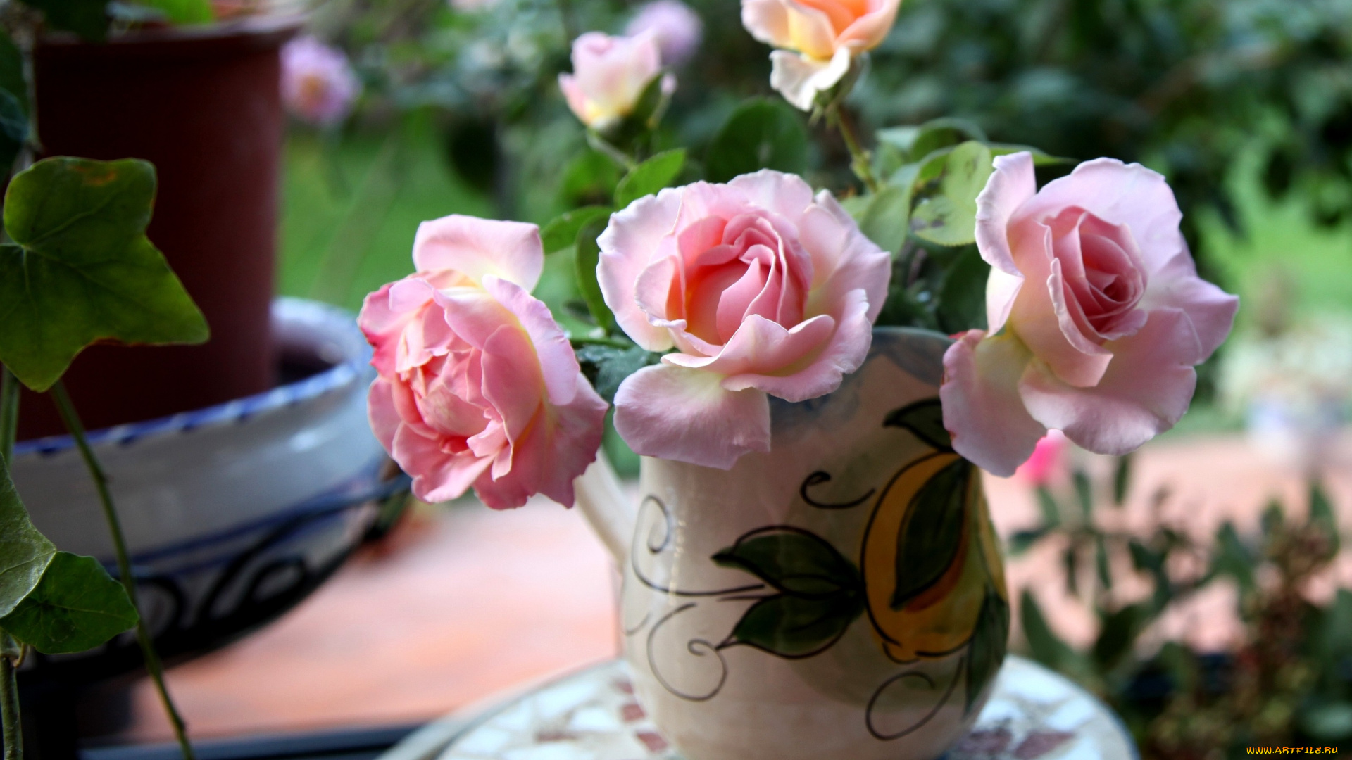 цветы, розы, розовый, кувшин
