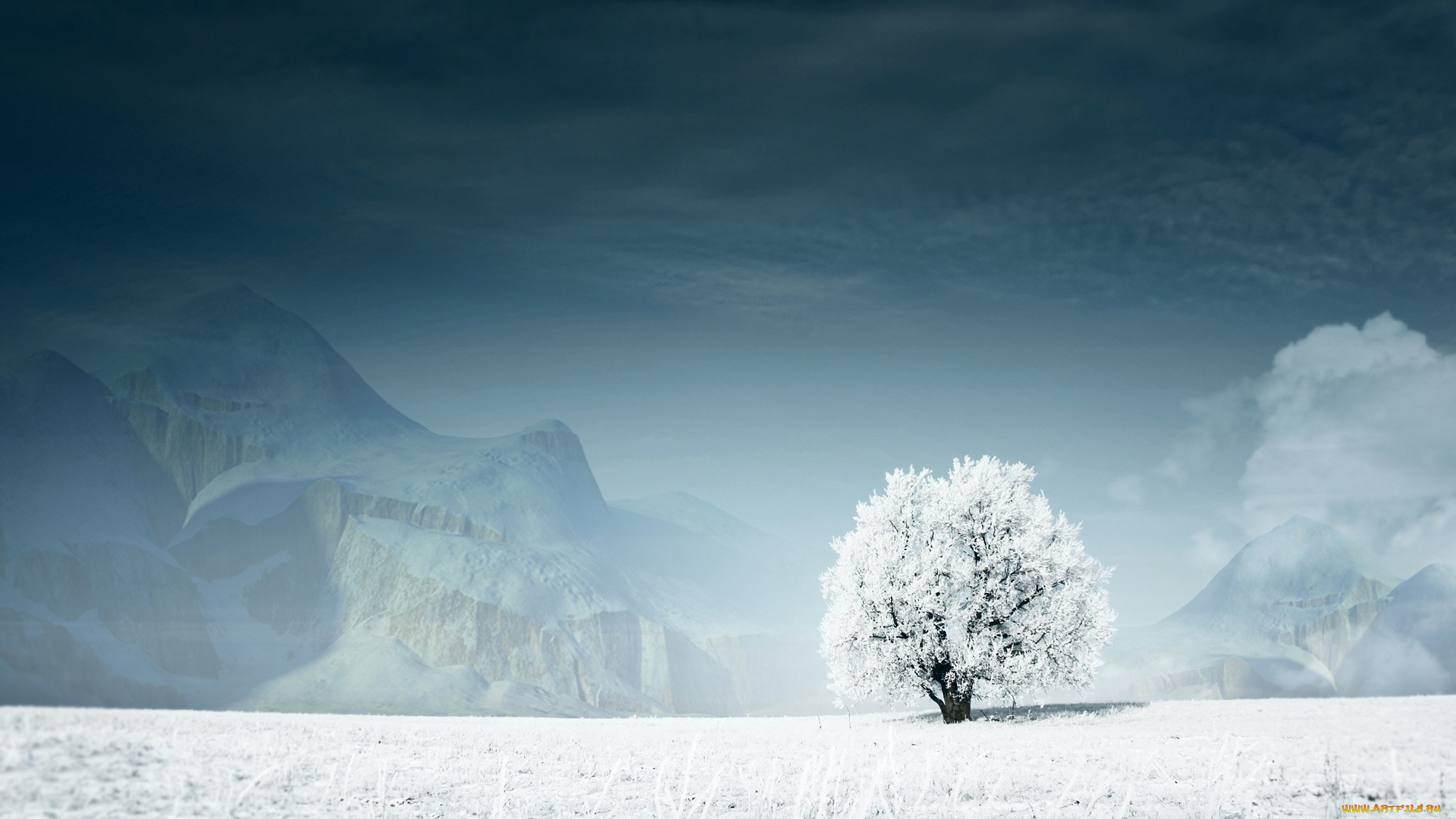 природа, зима, поле, снег, дерево