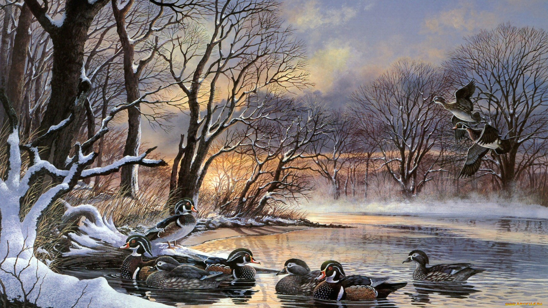 winter, woodies, рисованные, harold, roe, полынья, зима, утки