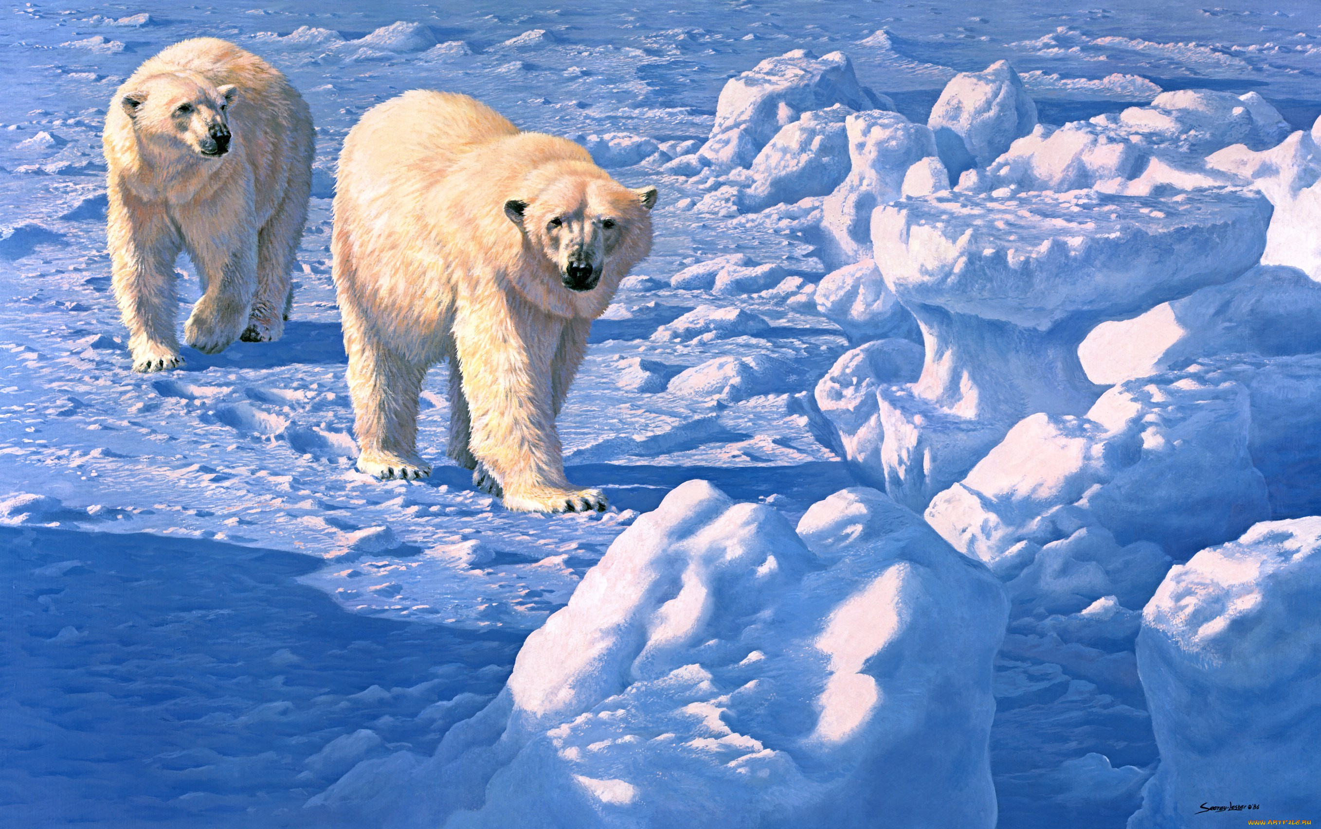 There s something in the ice. Белый медведь Северный полюс. Белые медведи в Антарктиде. Медведь обои. Медведь на севере.