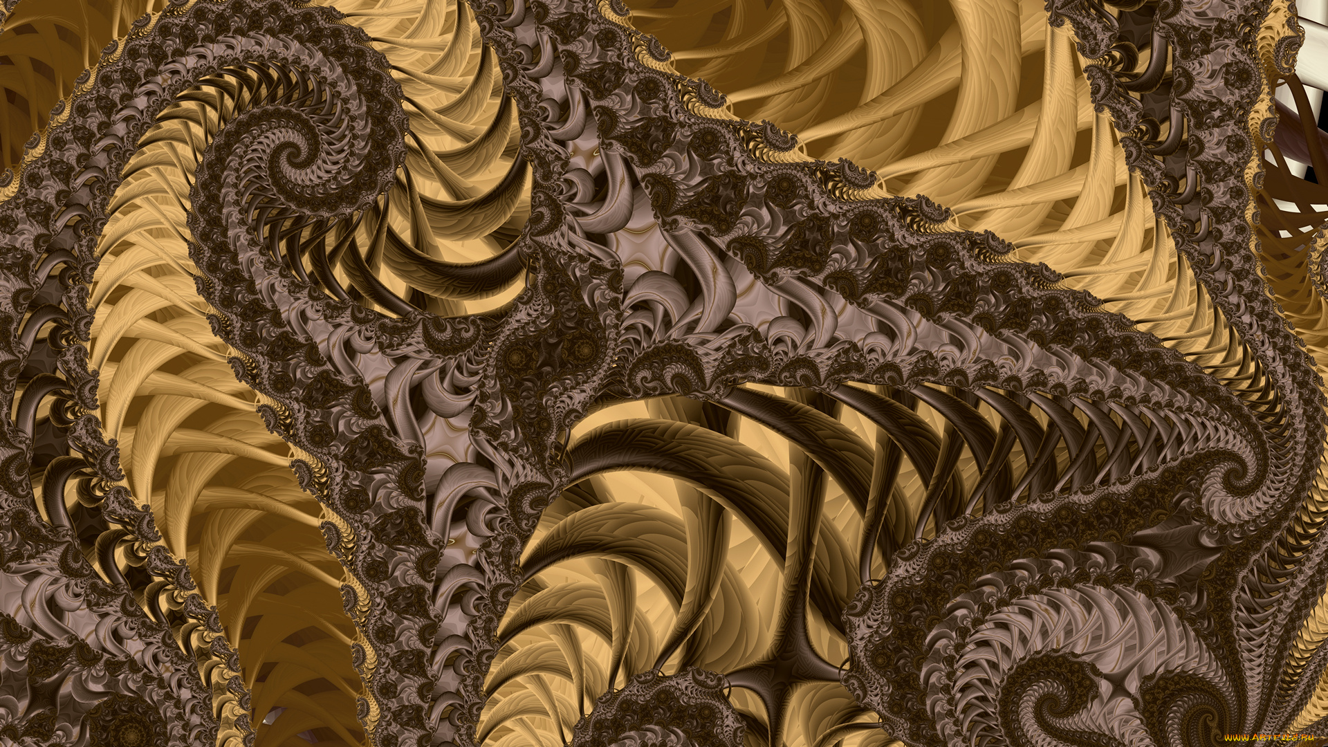 3д, графика, fractal, , фракталы, цвета, узор, фон