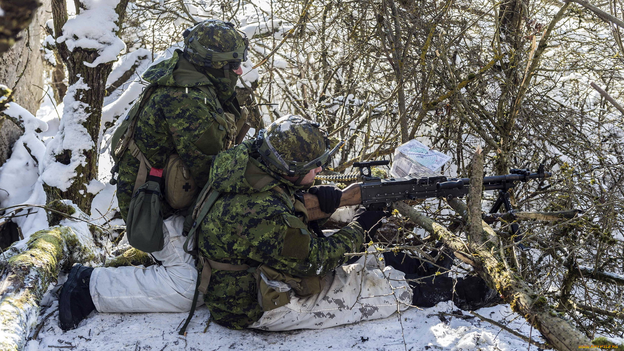 оружие, армия, спецназ, солдаты, canadian, army