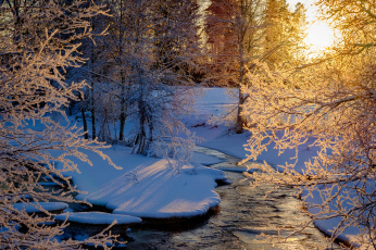 Картинка природа реки озера зима закат лес деревья речка