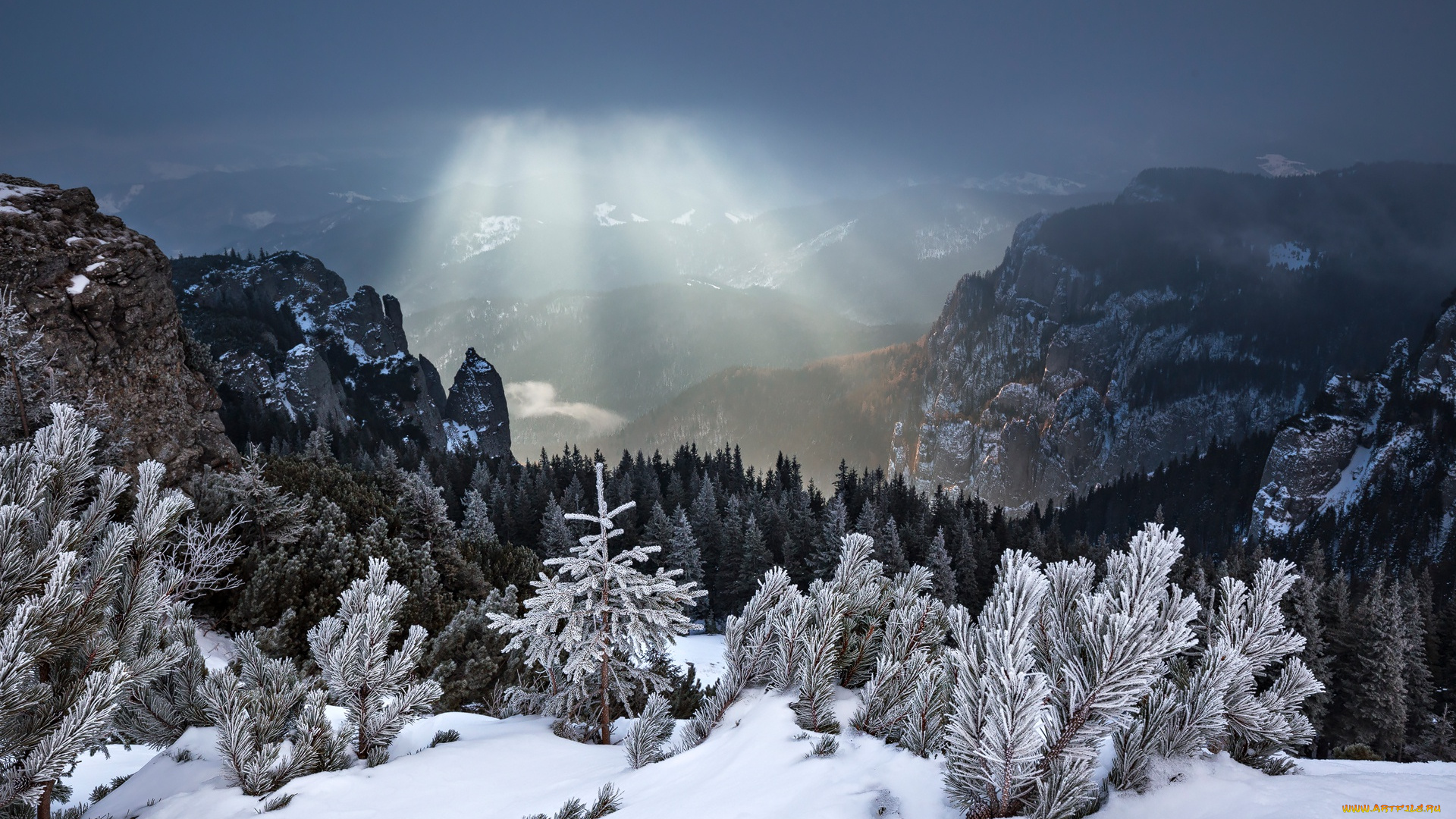 природа, горы, румыния, снег, лучи, лес, зима
