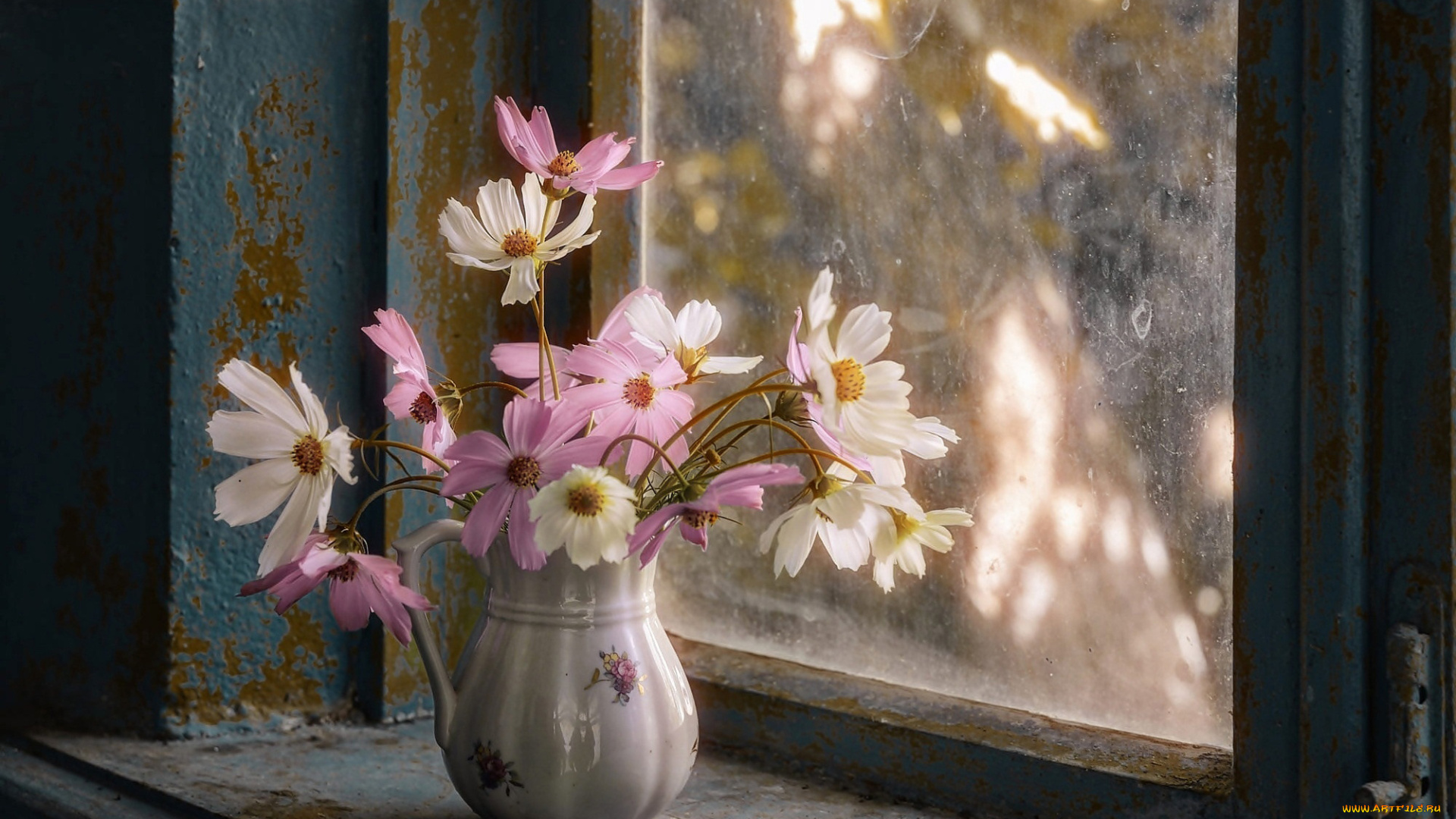 цветы, космея, окно, кувшин, букет