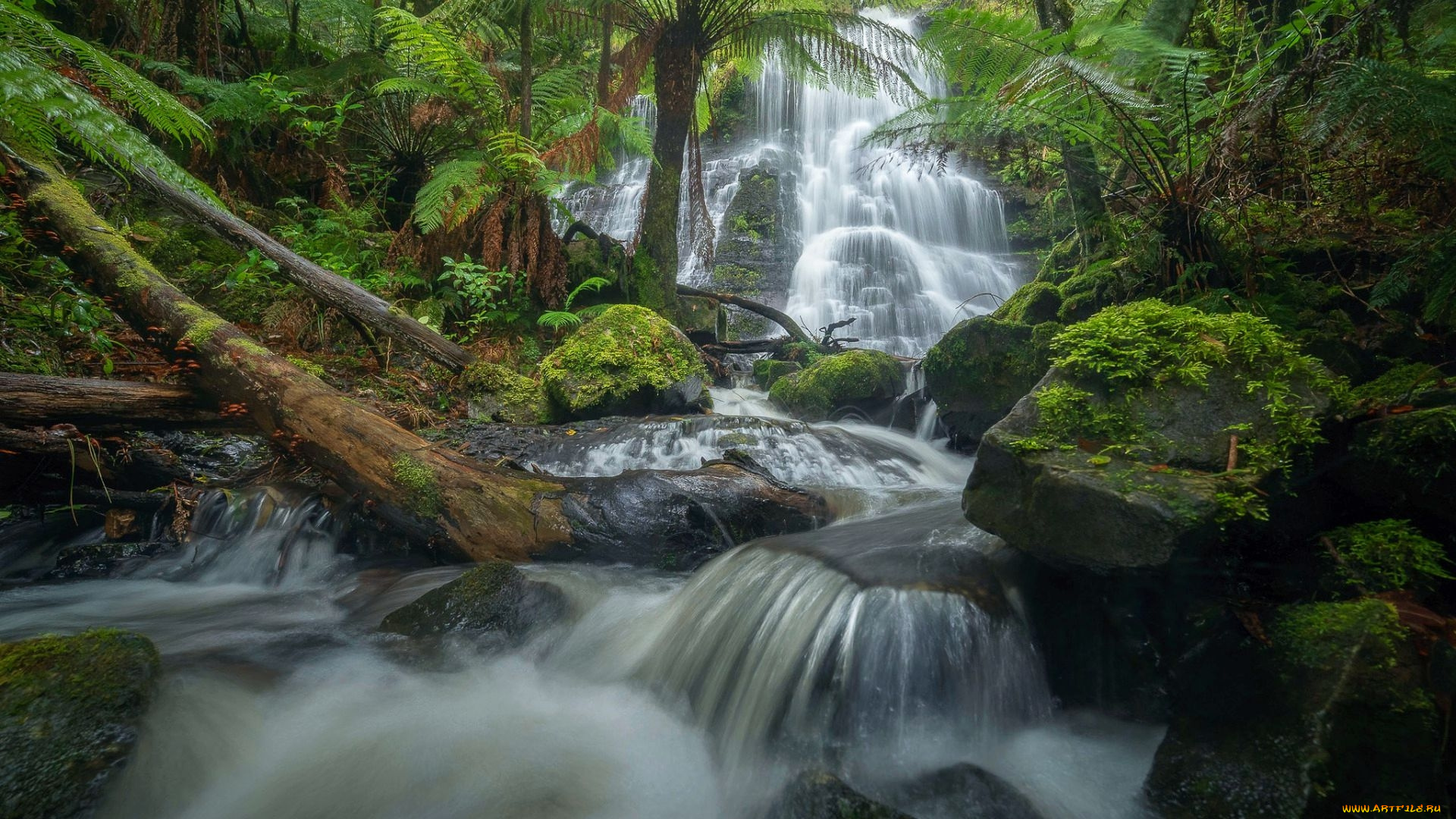 henderson, falls, great, otway, np, victoria, australia, природа, водопады, henderson, falls, great, otway, np