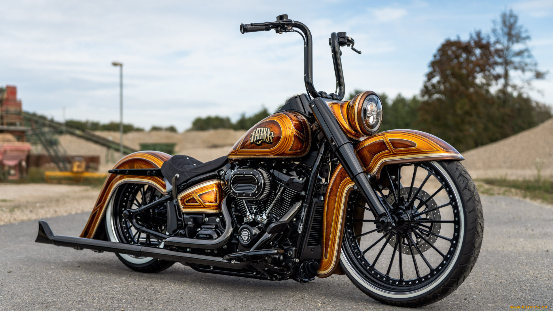 мотоциклы, harley-davidson, softail, heritage, customized, katara, tuning, bikes